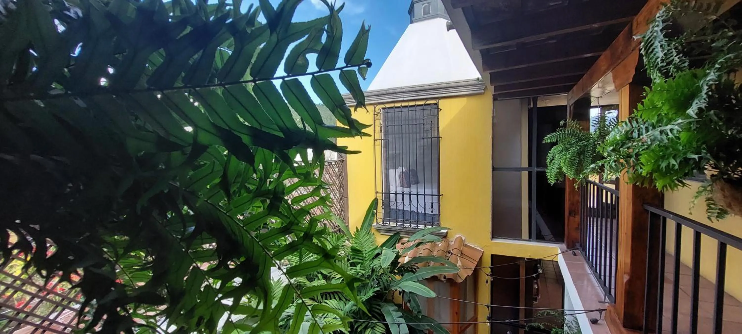 View (from property/room) in Yellow House Hostel B&B