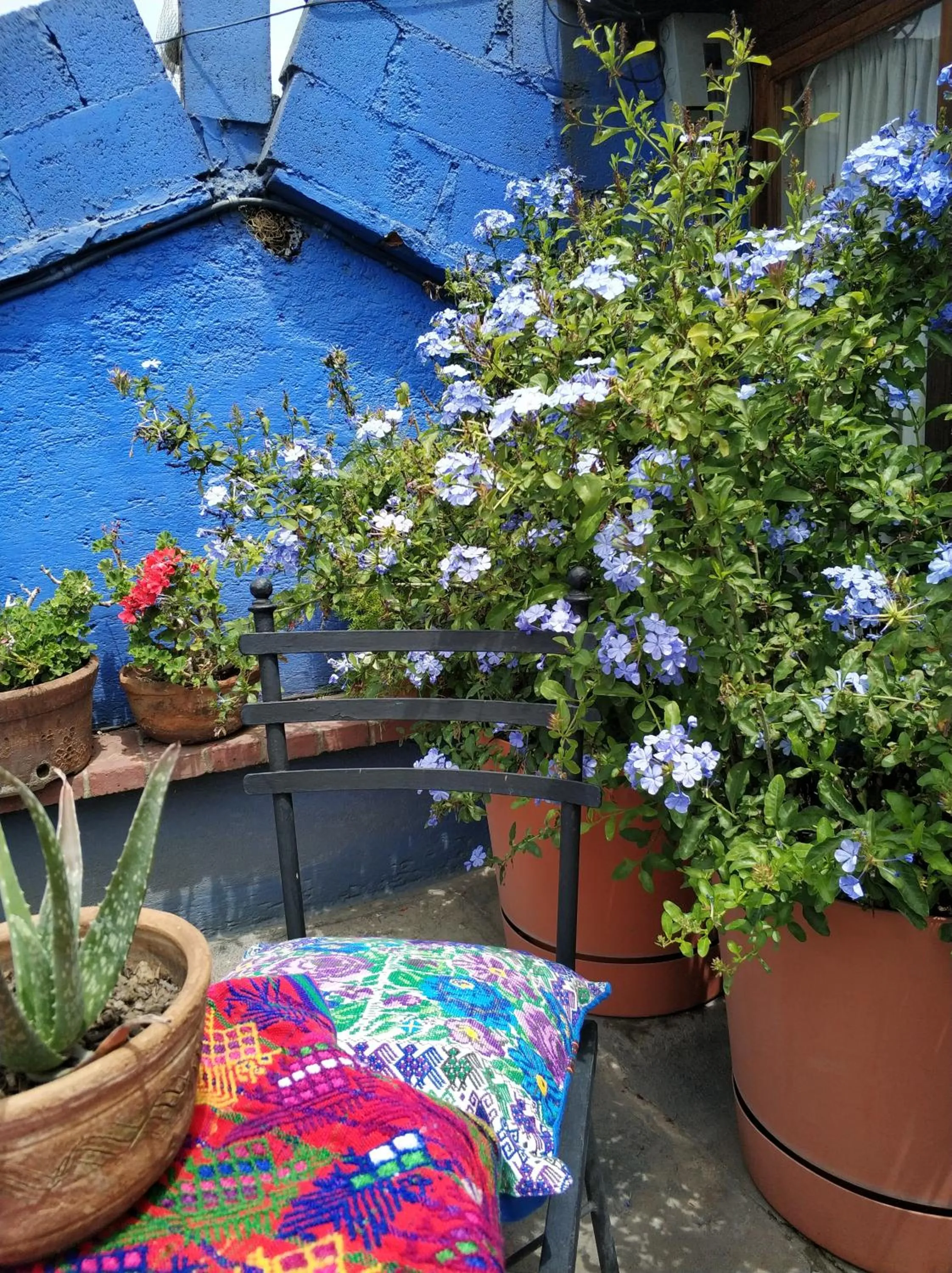 Balcony/Terrace in Yellow House Hostel B&B