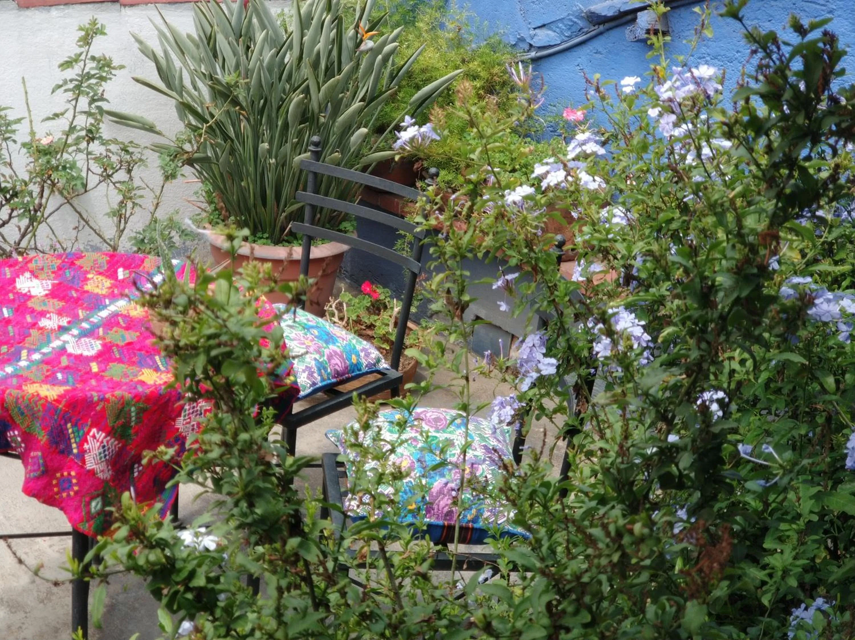 Balcony/Terrace in Yellow House Hostel B&B