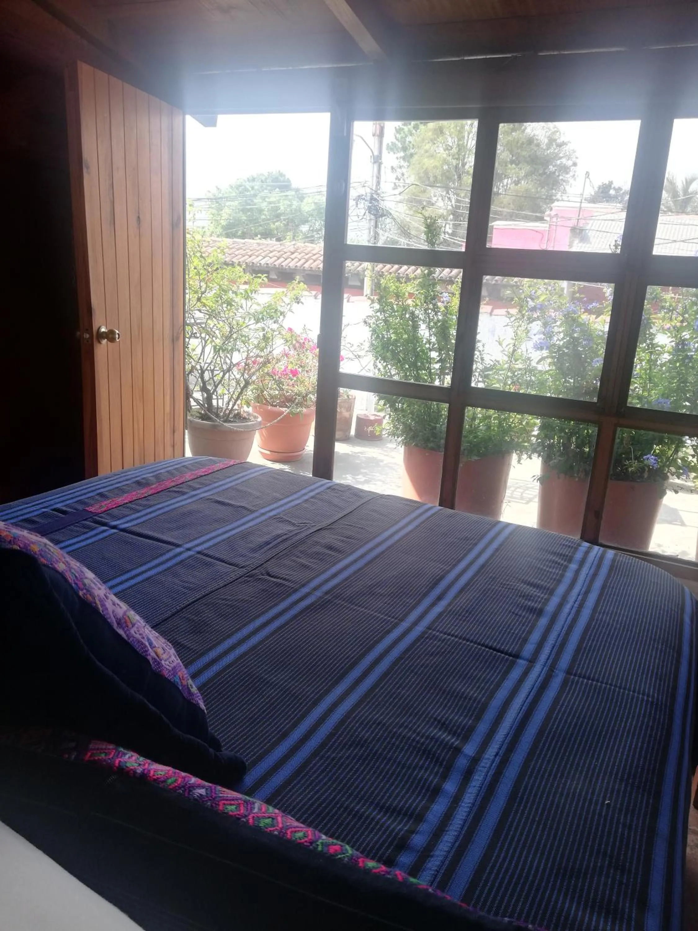 Bed in Yellow House Hostel B&B