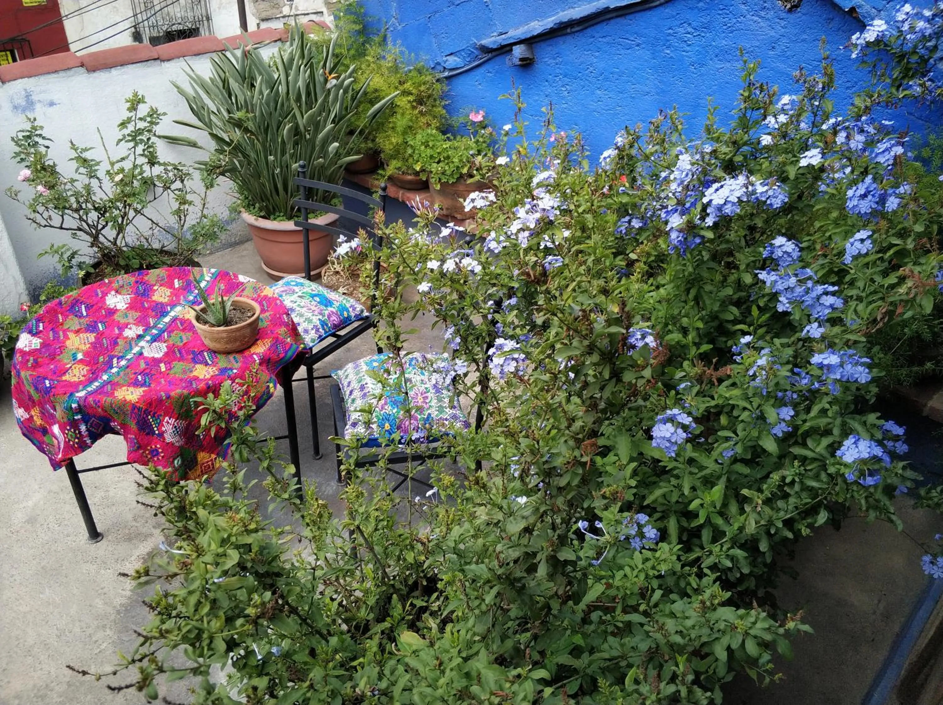 Balcony/Terrace in Yellow House Hostel B&B