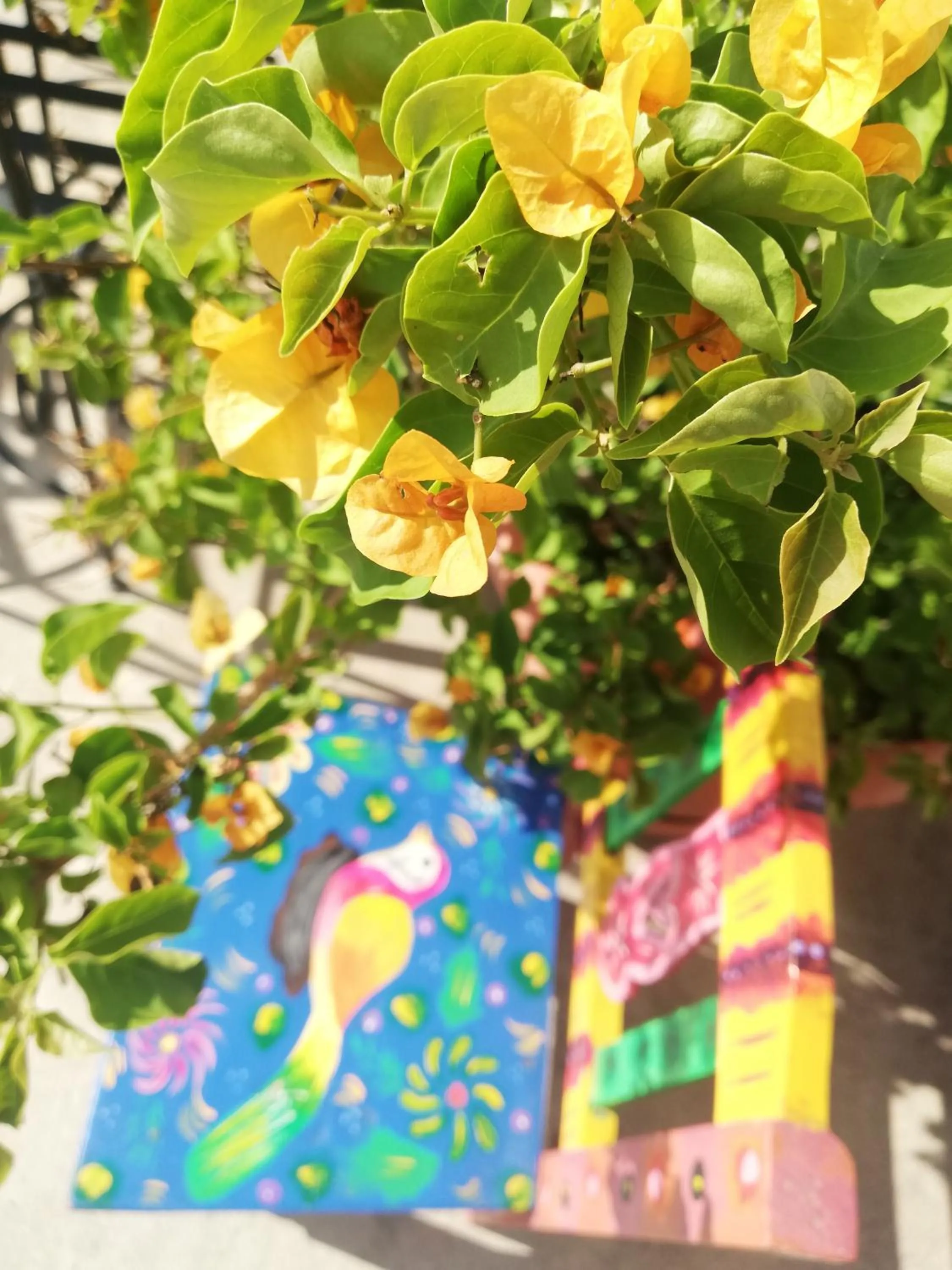 Garden in Yellow House Hostel B&B