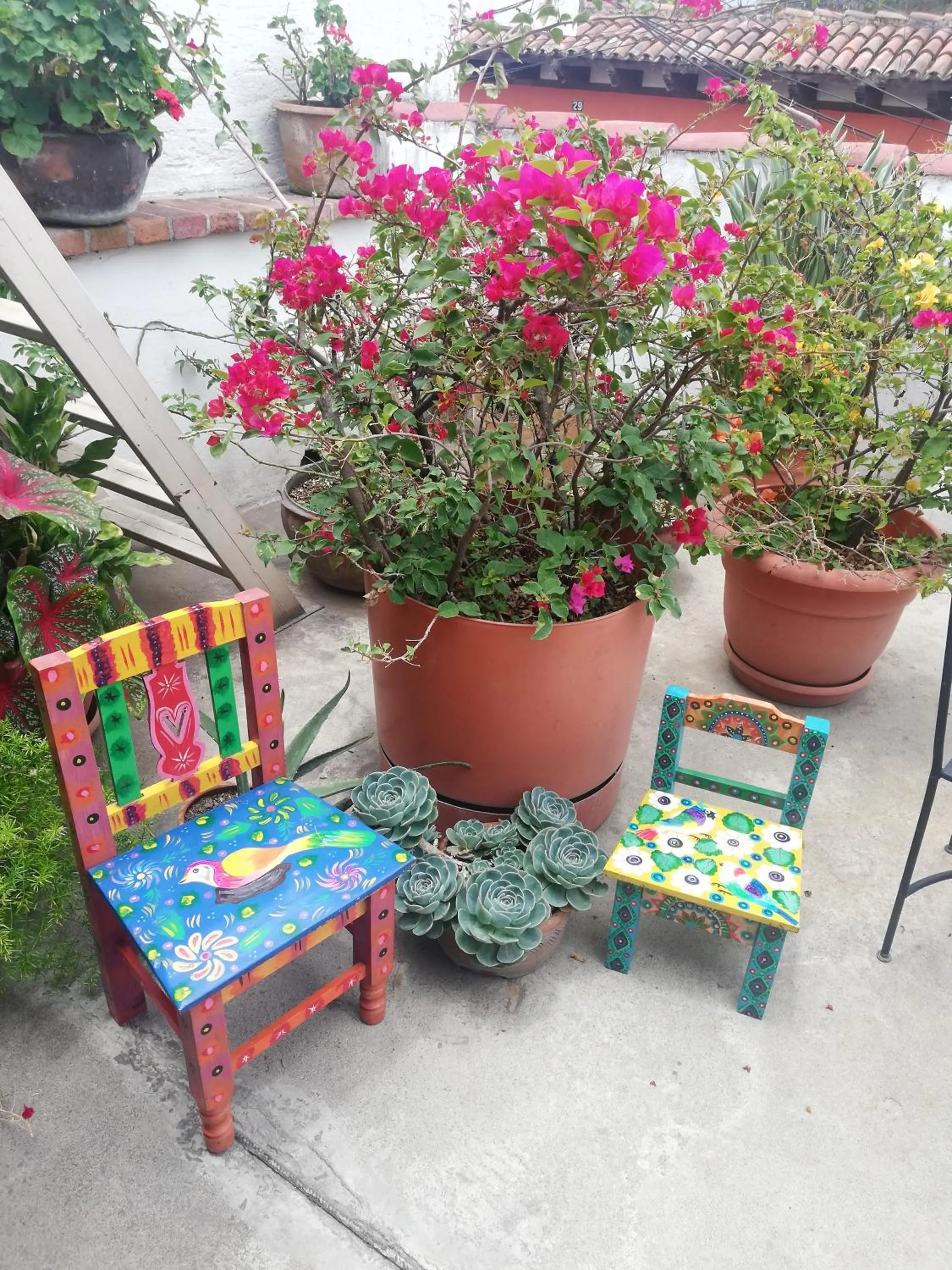 Patio in Yellow House Hostel B&B