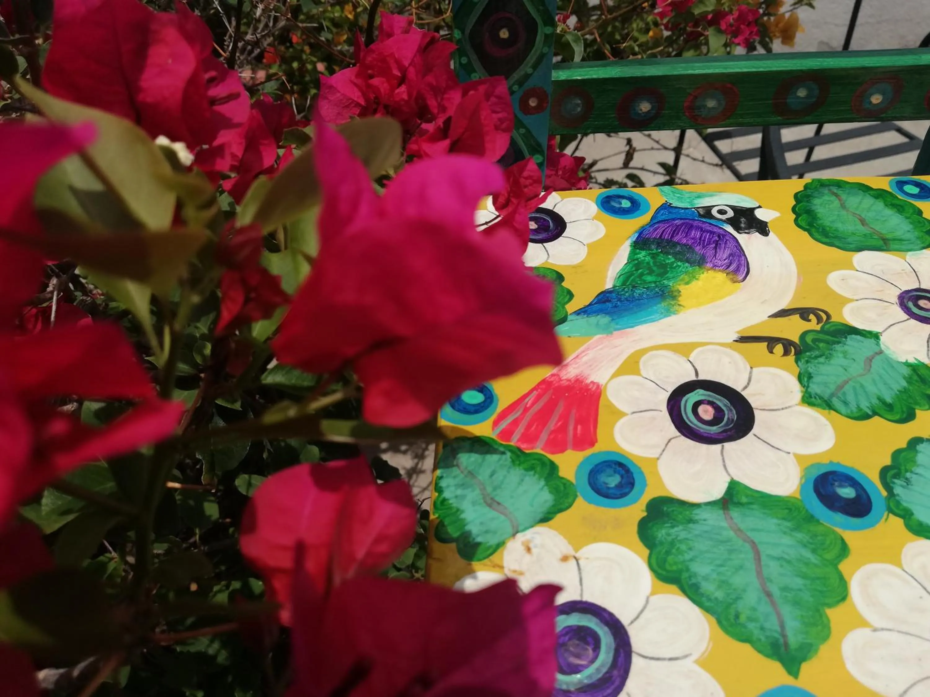 Other in Yellow House Hostel B&B