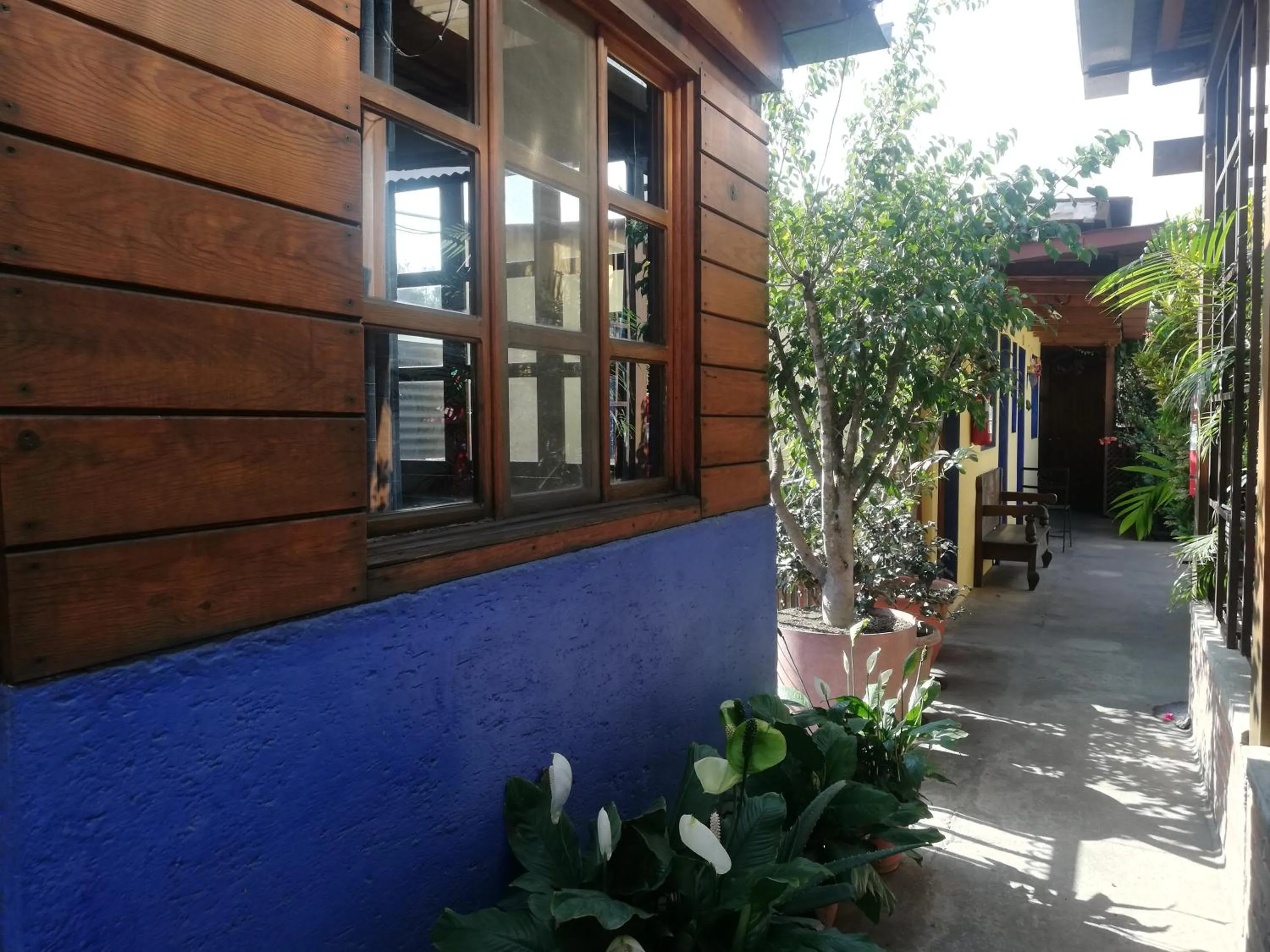 Balcony/Terrace in Yellow House Hostel B&B