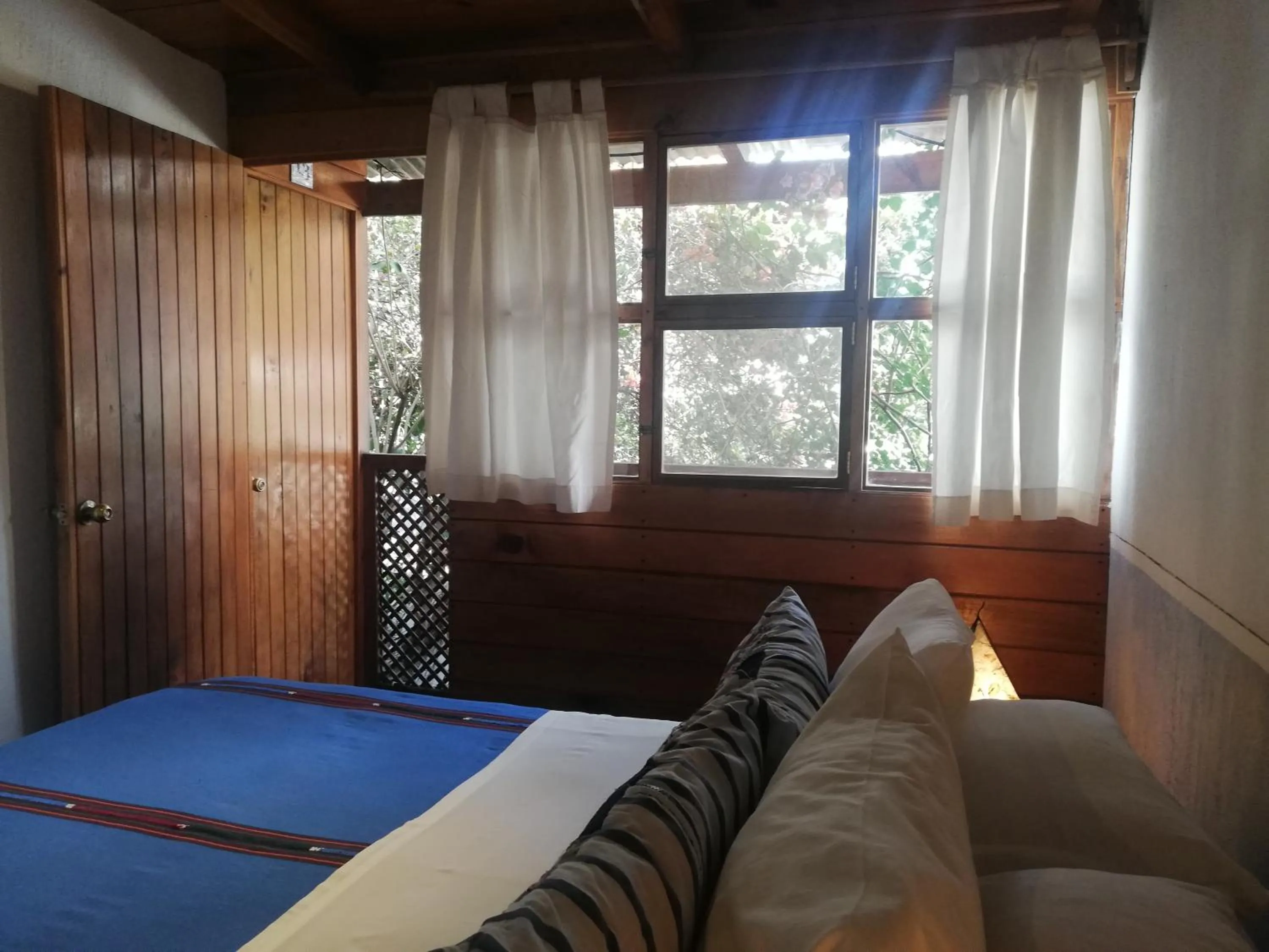 Photo of the whole room, Bed in Yellow House Hostel B&B
