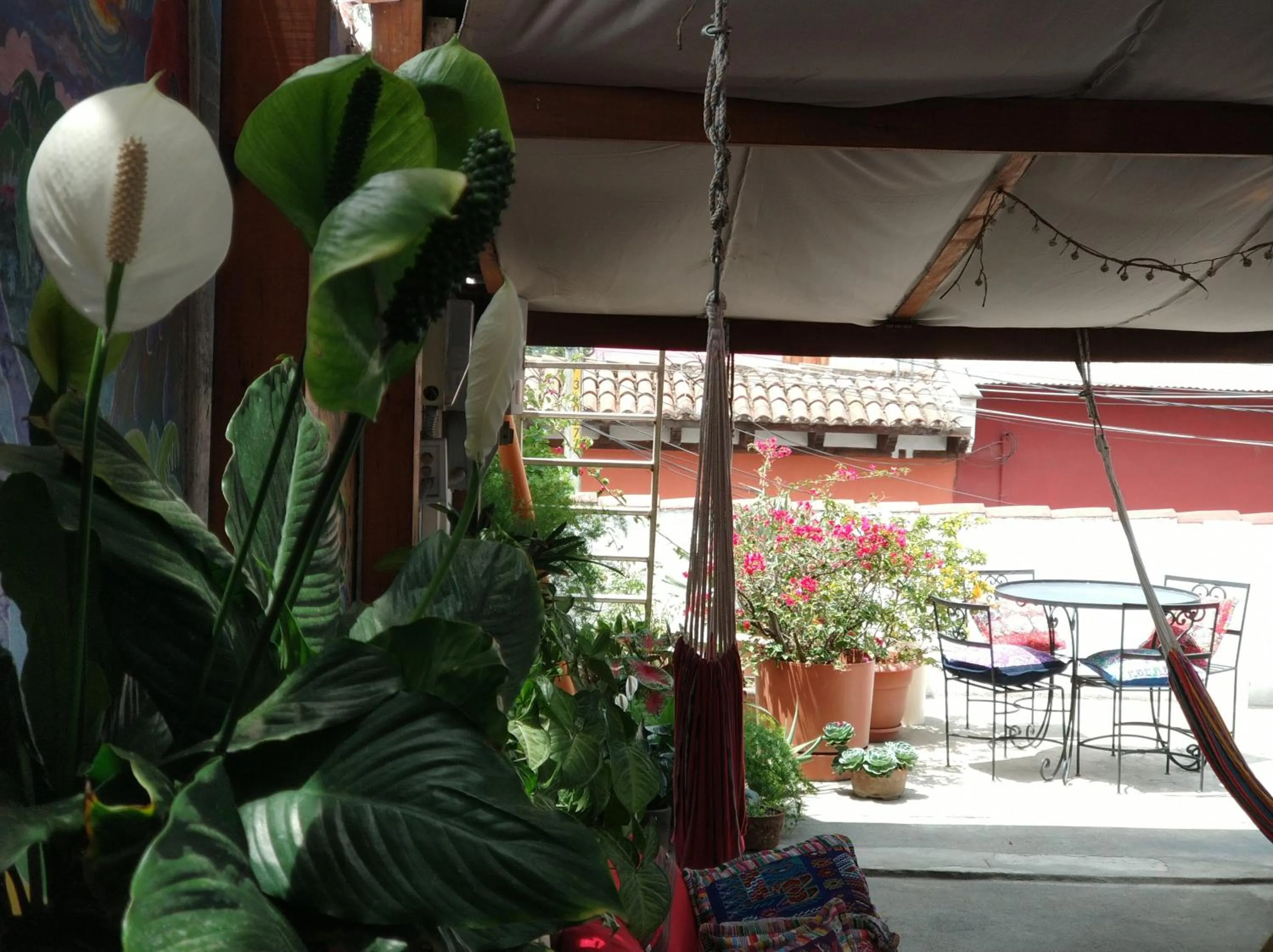 Seating area in Yellow House Hostel B&B