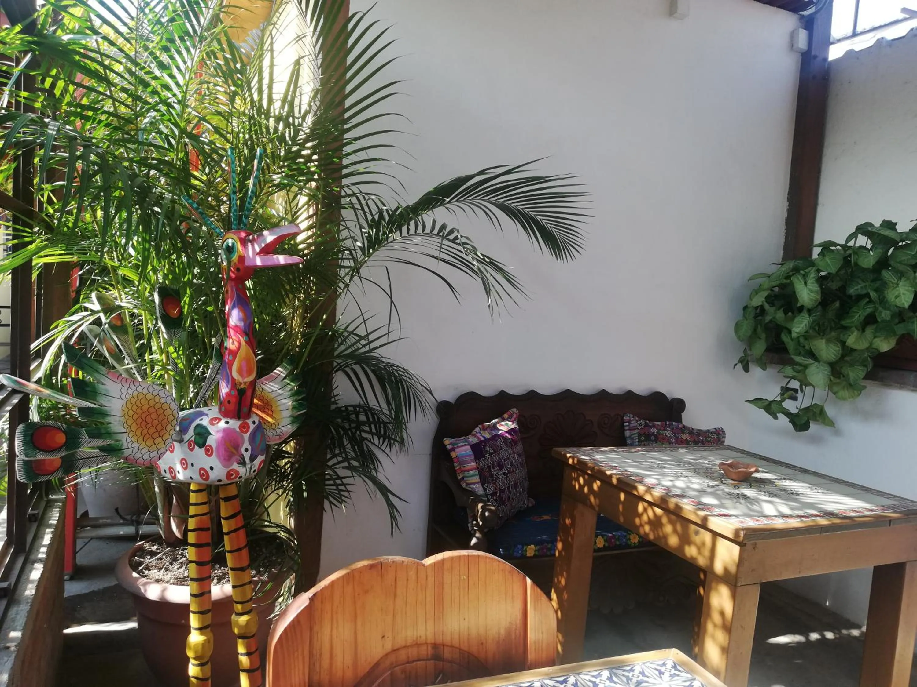 Balcony/Terrace in Yellow House Hostel B&B