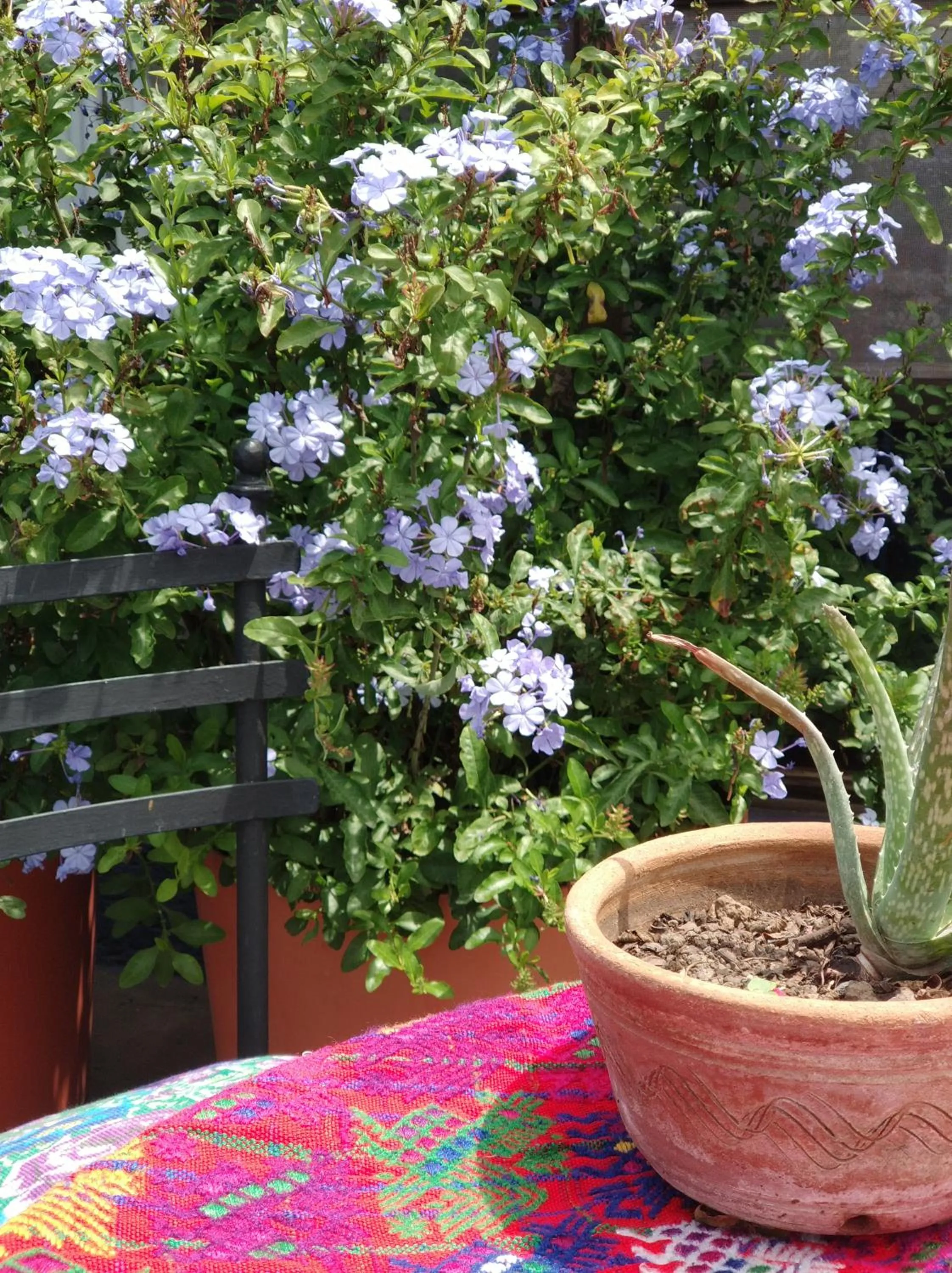 Balcony/Terrace in Yellow House Hostel B&B