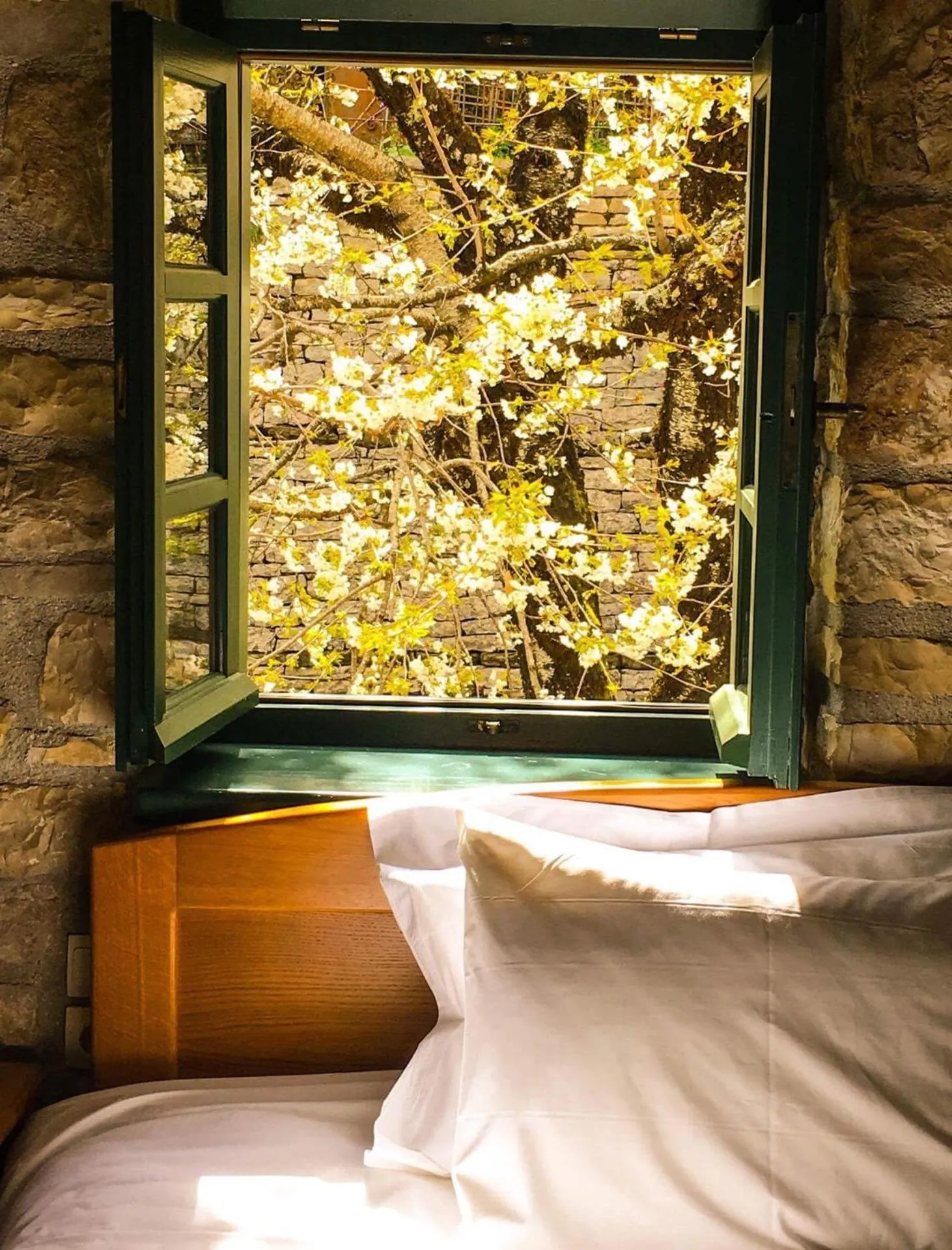 Bed in Gaia Guesthouse
