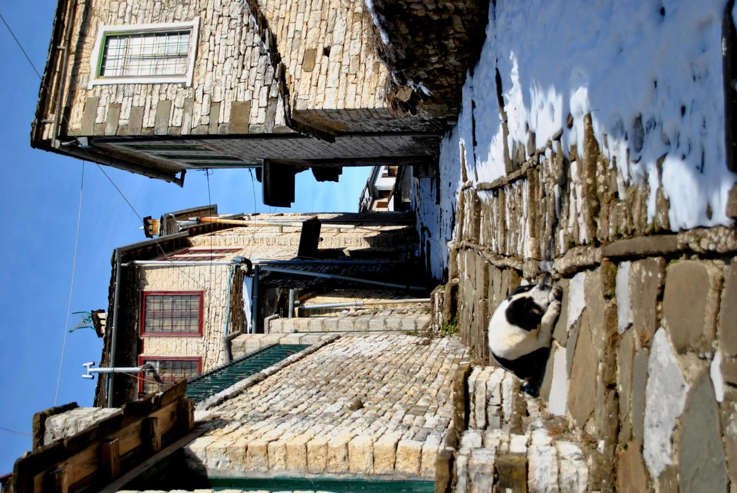 Neighbourhood in Gaia Guesthouse