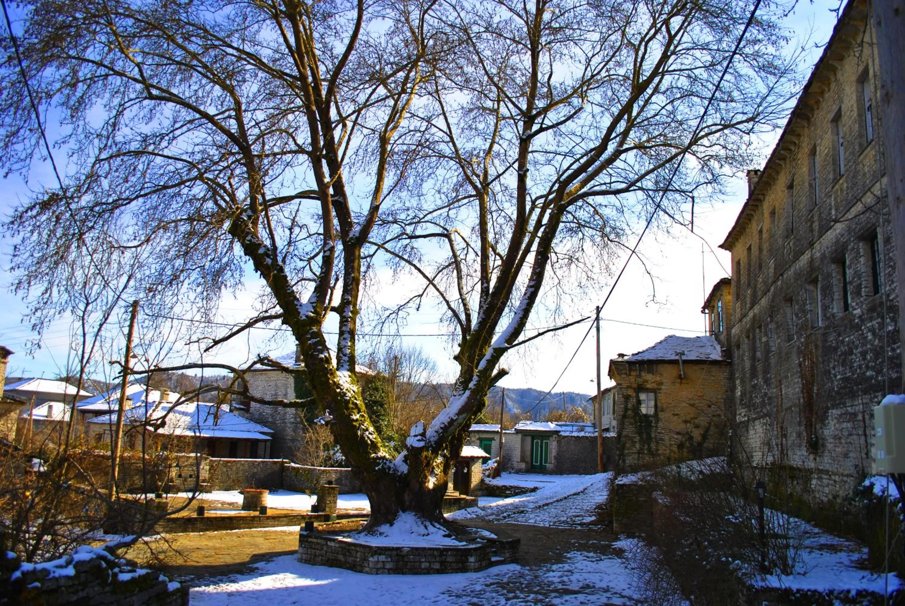 Area and facilities in Gaia Guesthouse