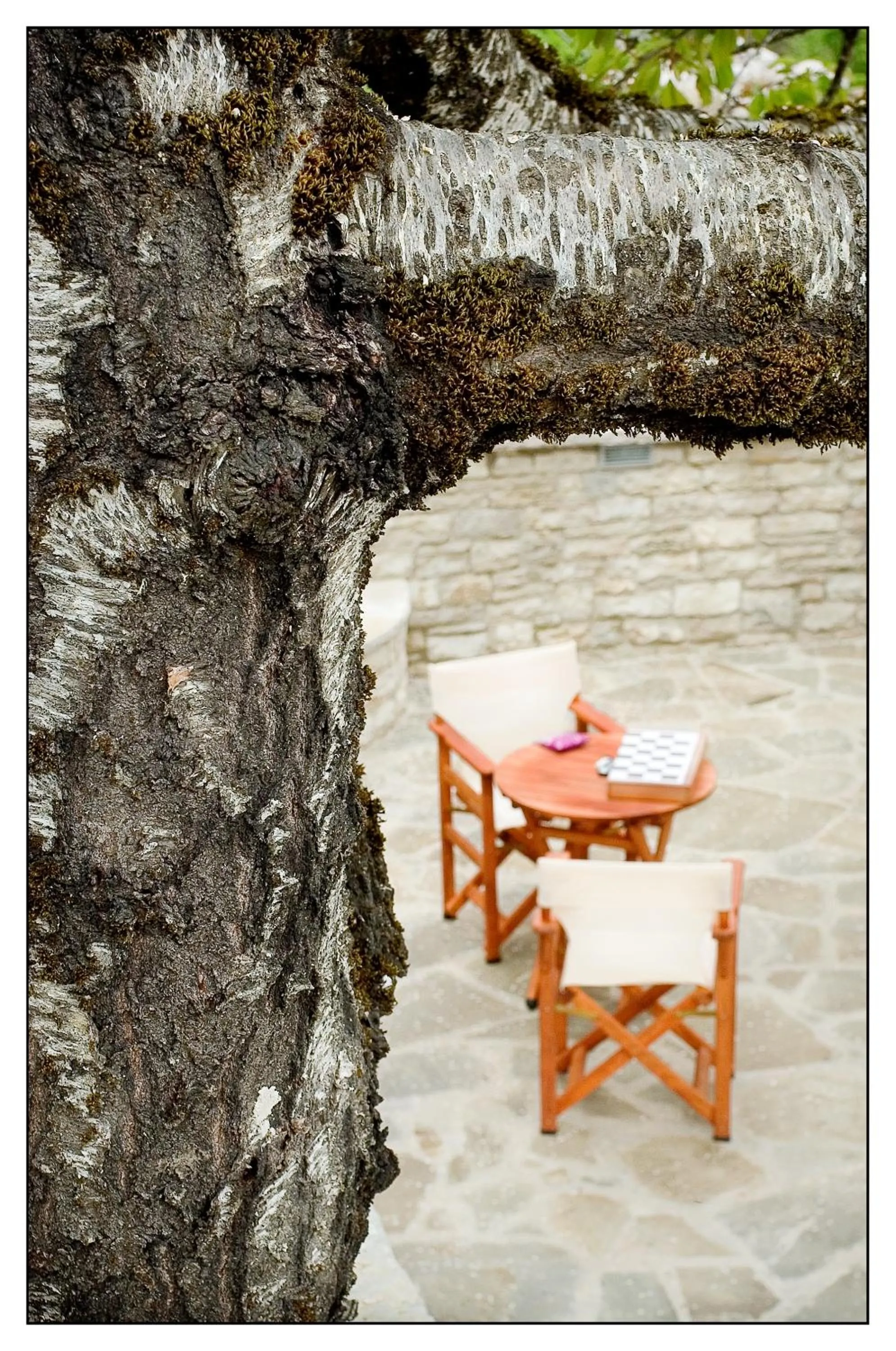 Balcony/Terrace in Gaia Guesthouse