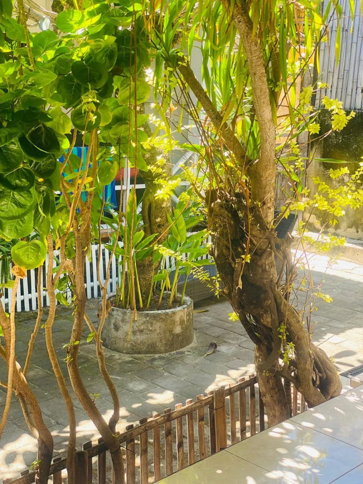 Tarci Bungalows Lembongan