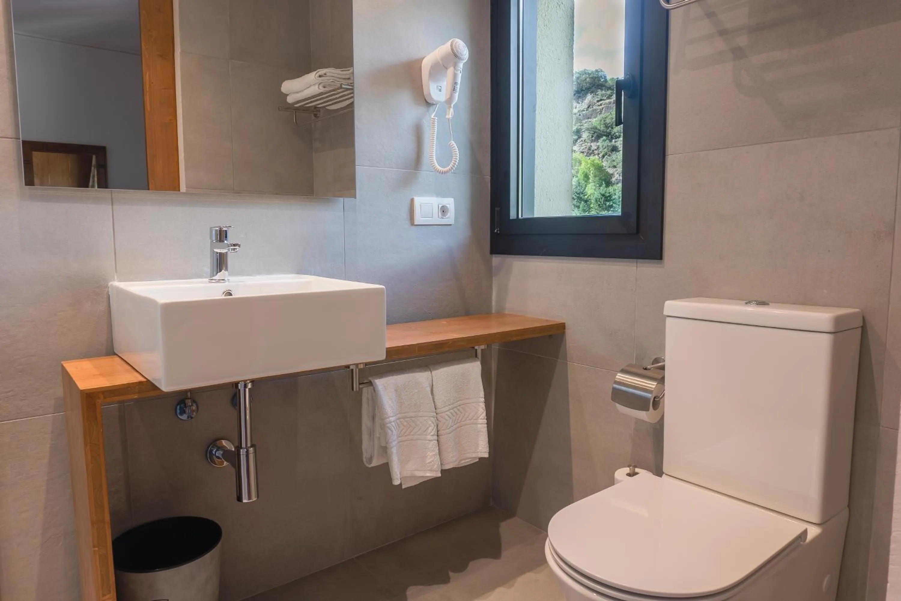 Toilet in Hotel Cardós