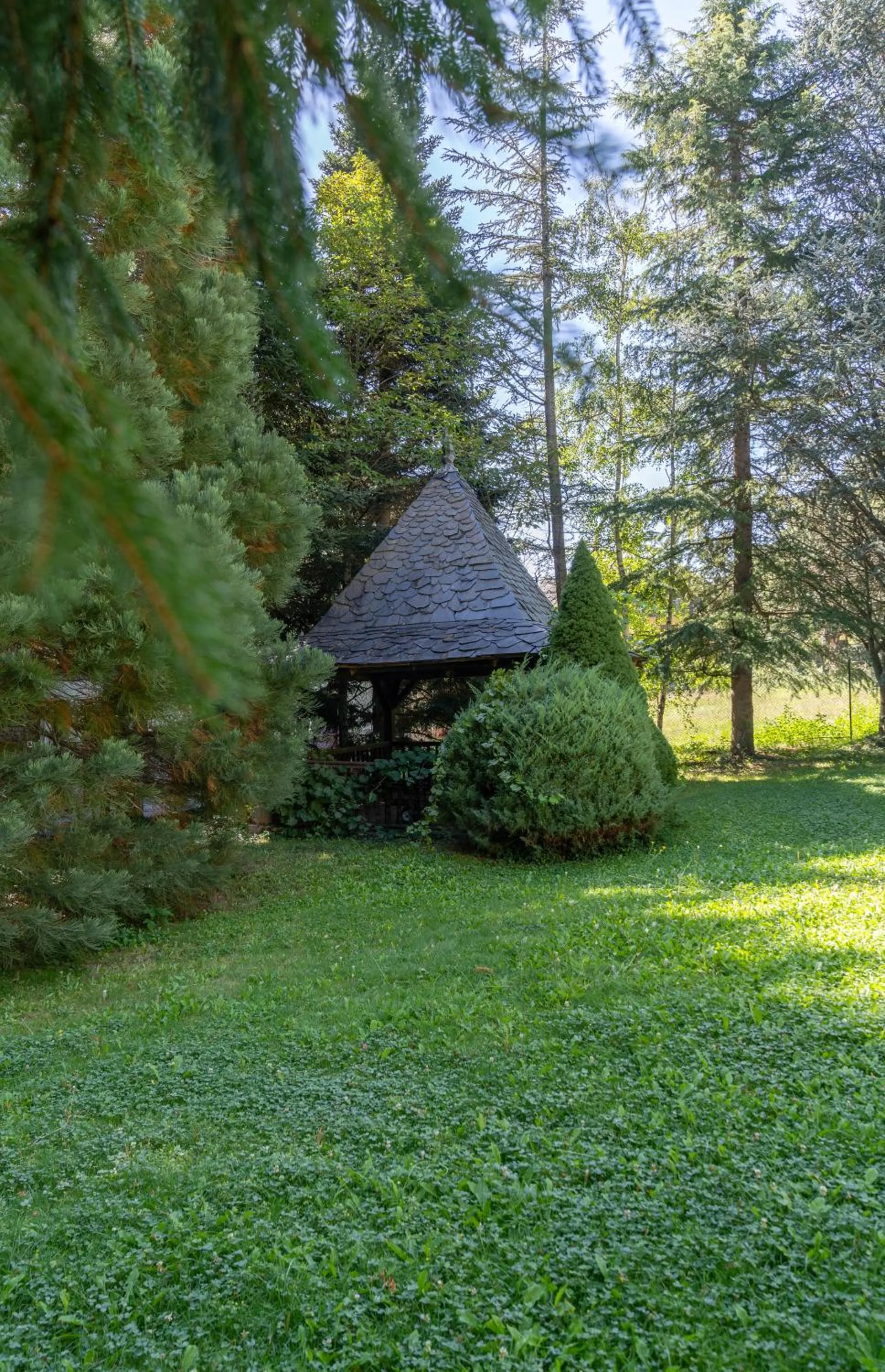 Garden in Hotel Cardós