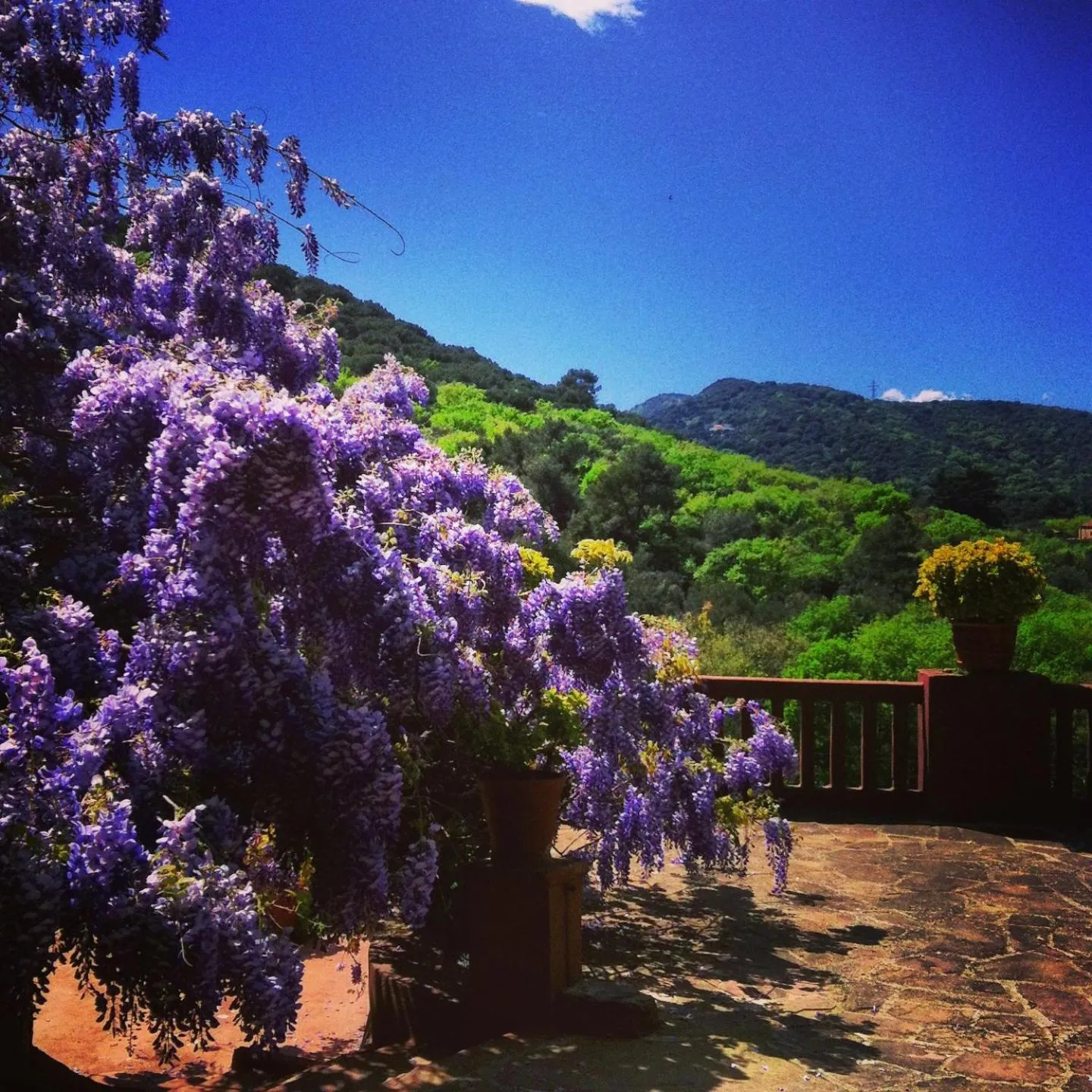 Other in Masia Vista Hermosa