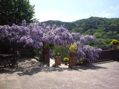 Other in Masia Vista Hermosa