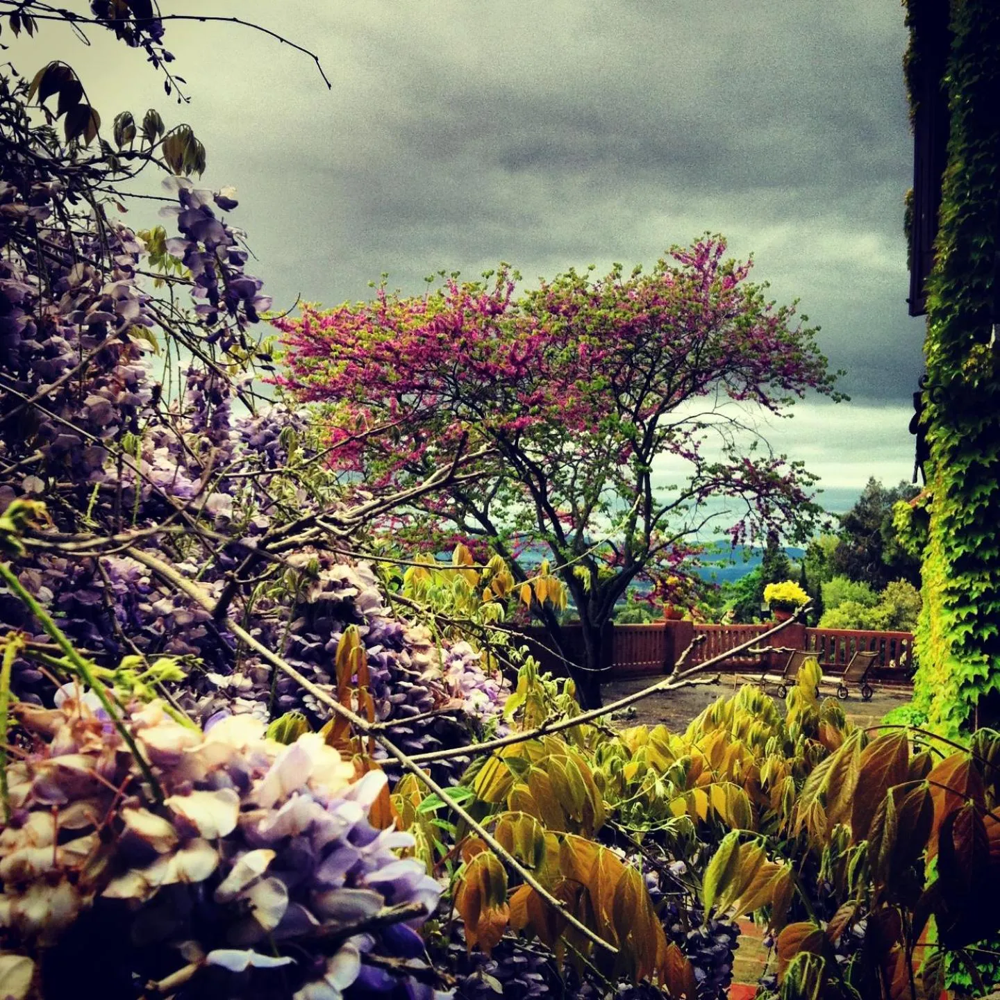 Balcony/Terrace in Masia Vista Hermosa