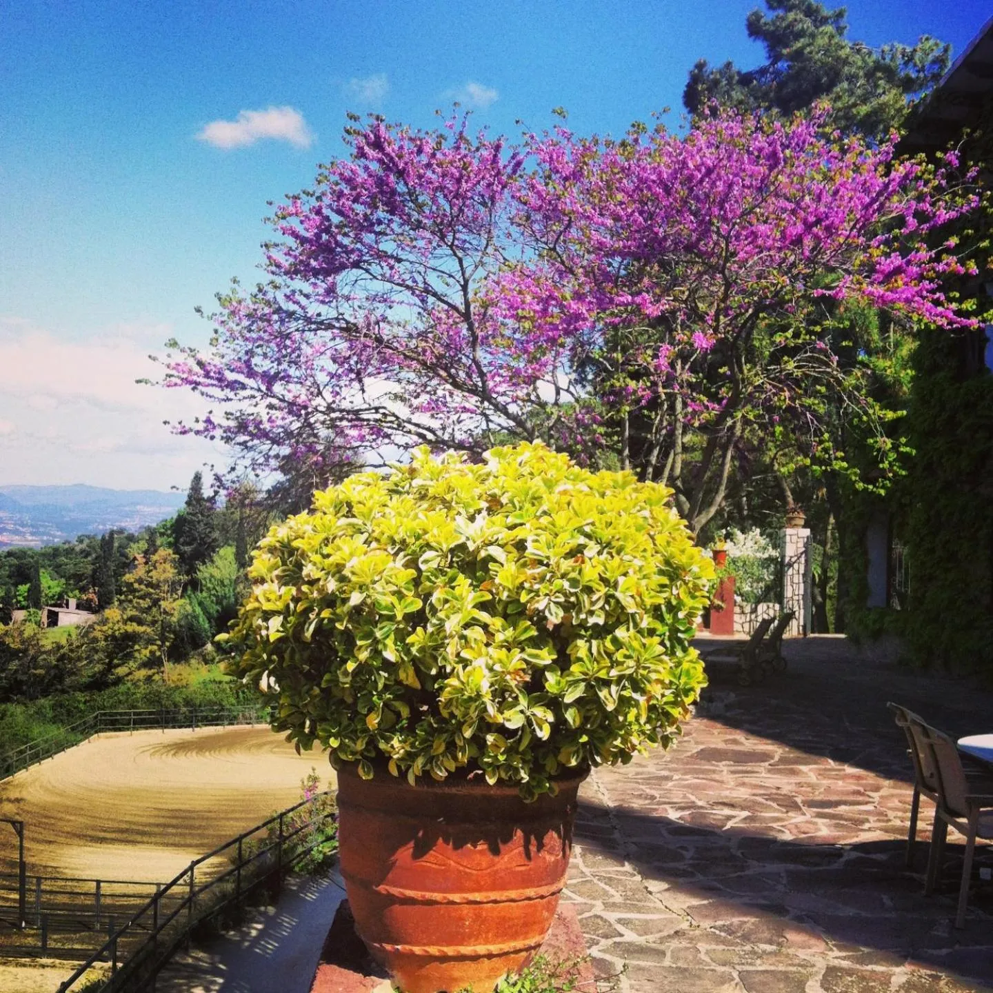 Other in Masia Vista Hermosa