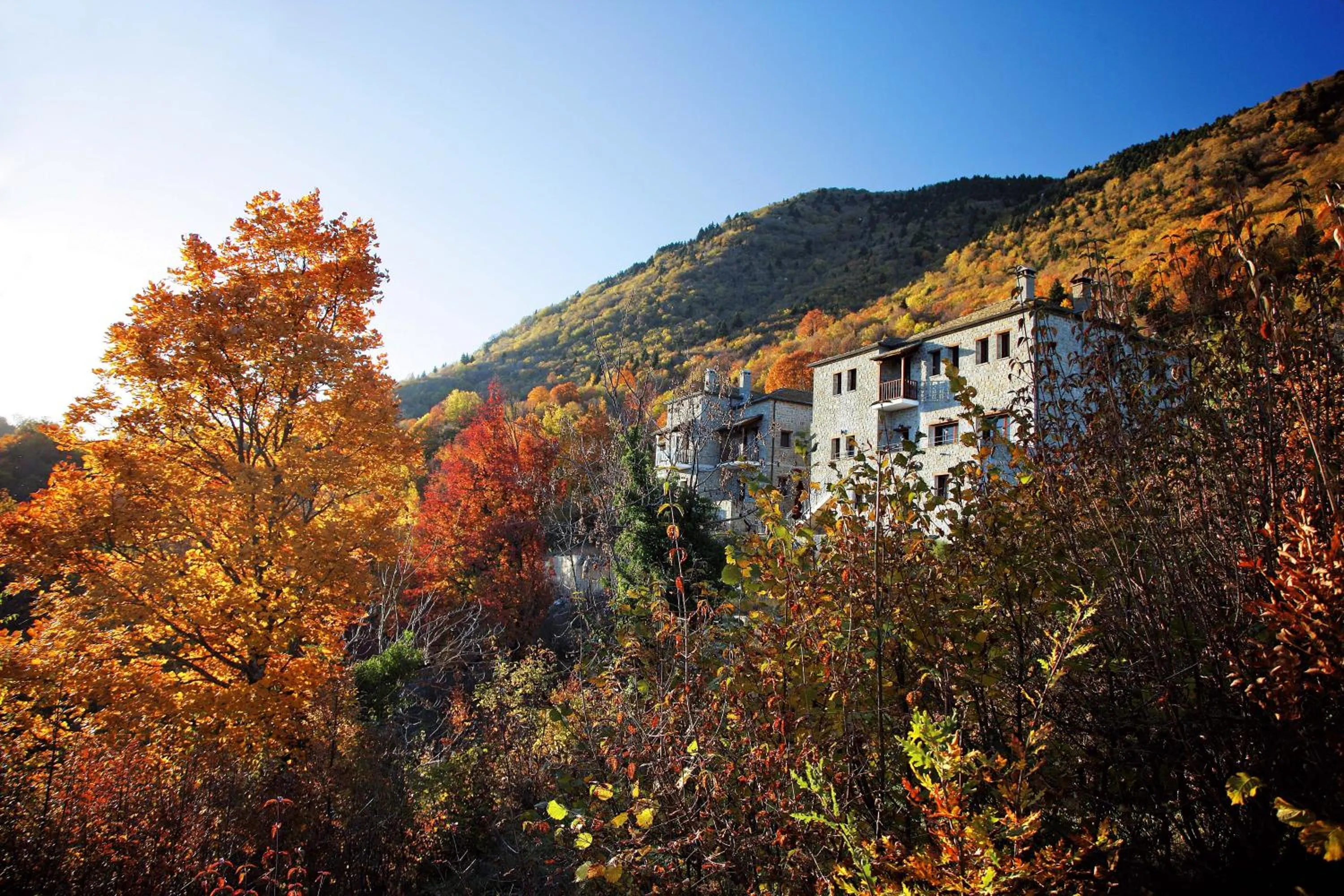Natural landscape in Hotel Athina