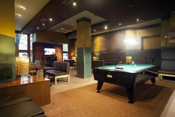 Billiard in Hotel Igartza