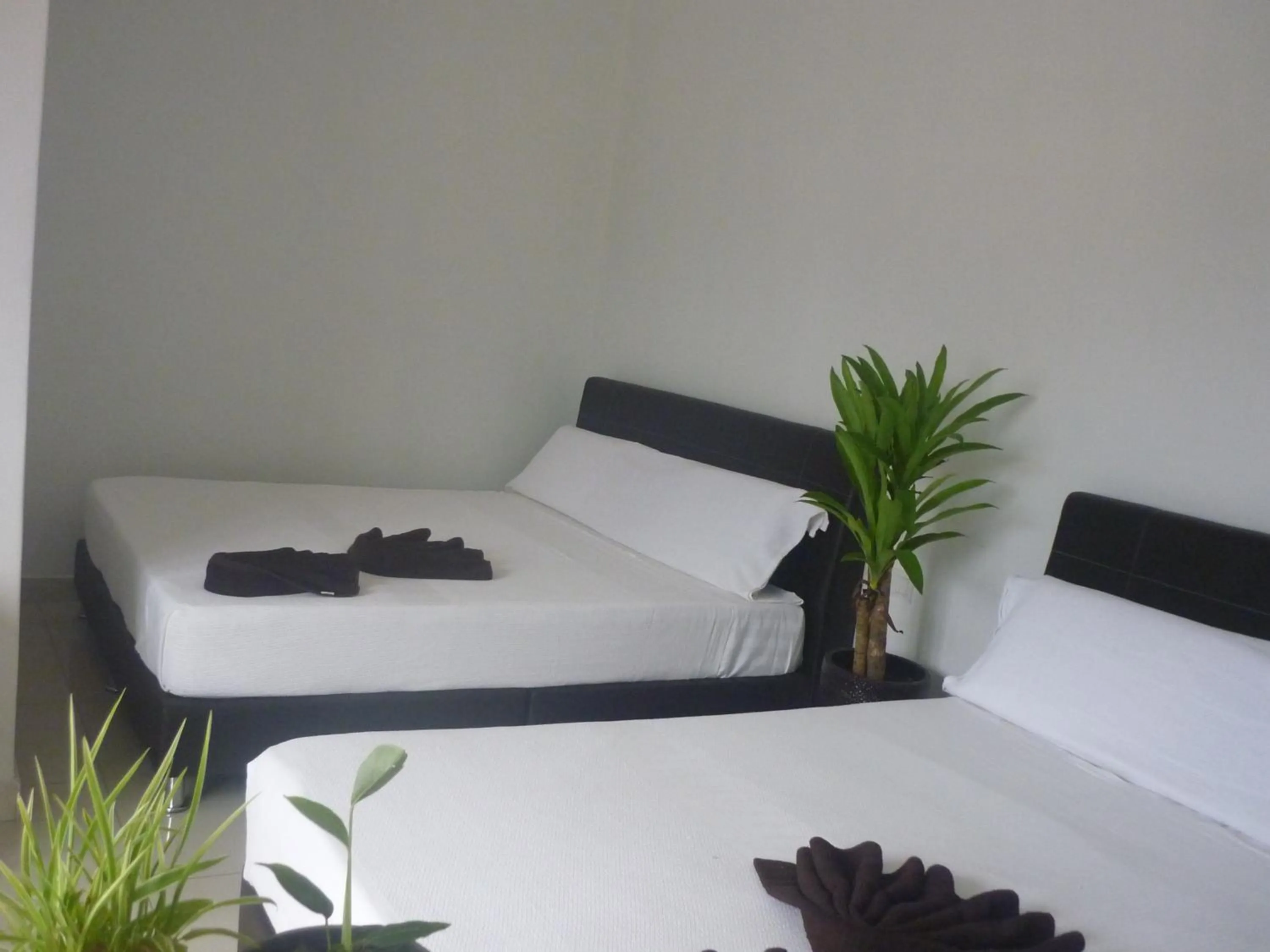 Bed in Hotel Paka INN