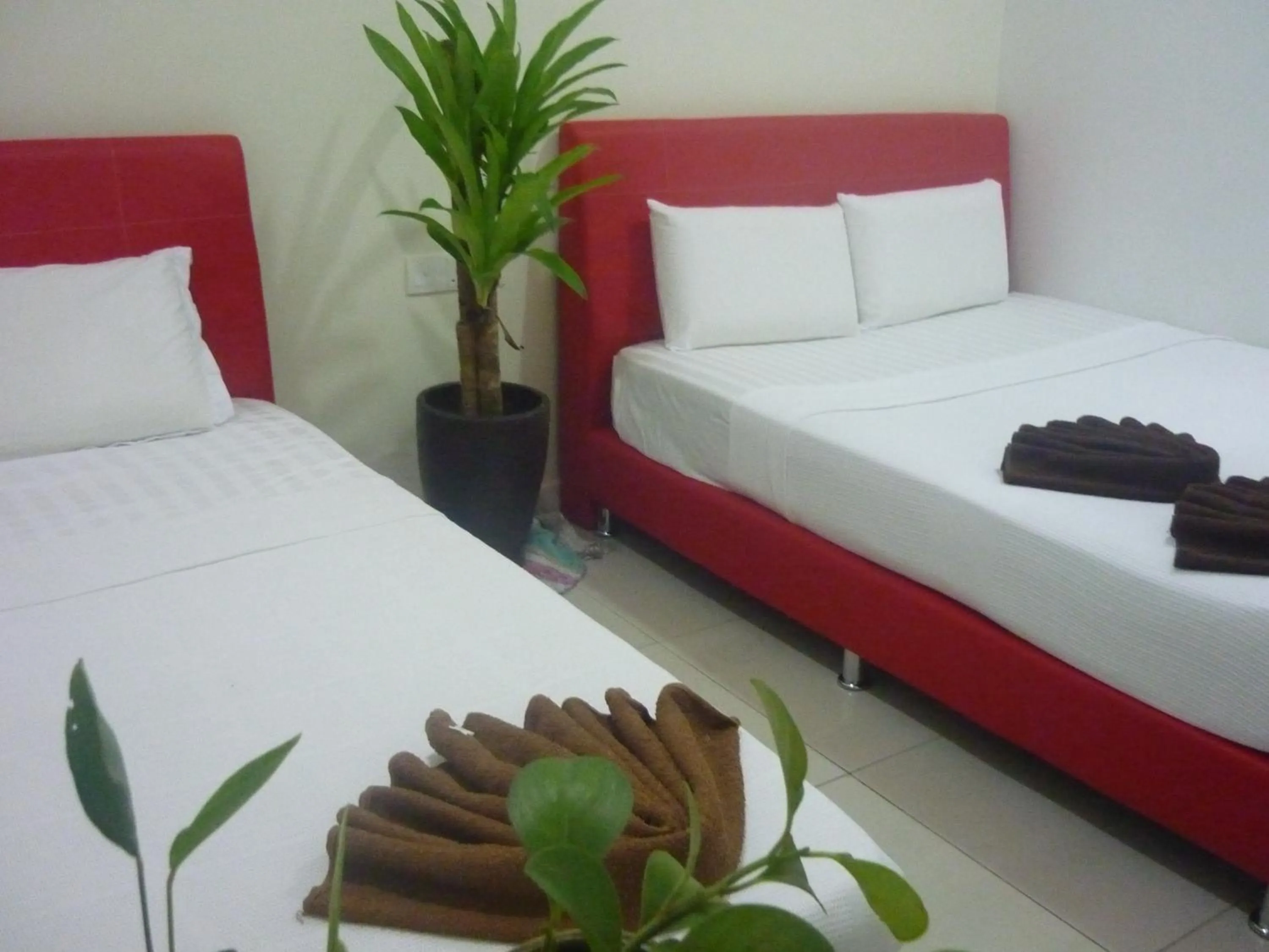 Bed in Hotel Paka INN