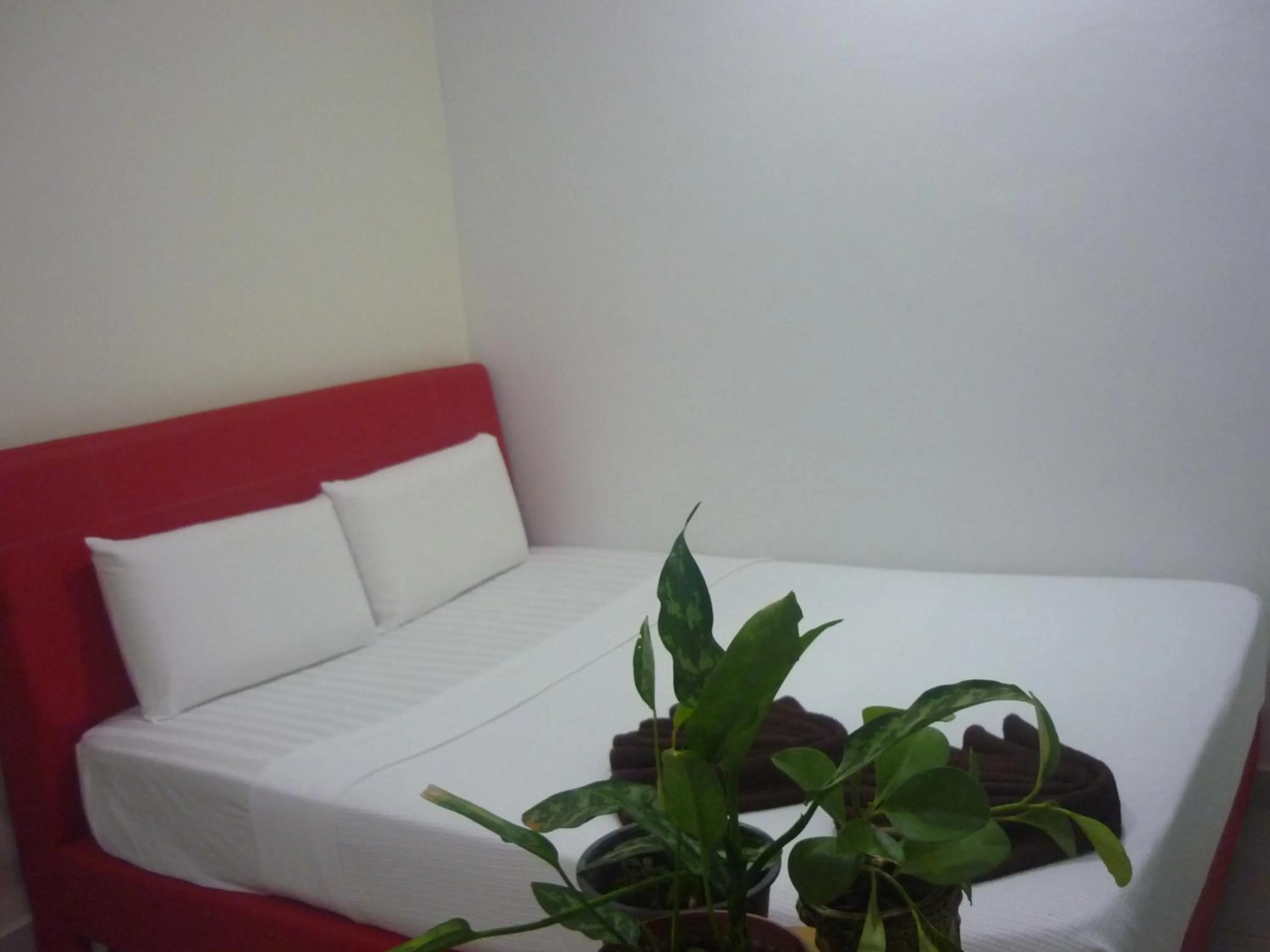 Bed in Hotel Paka INN