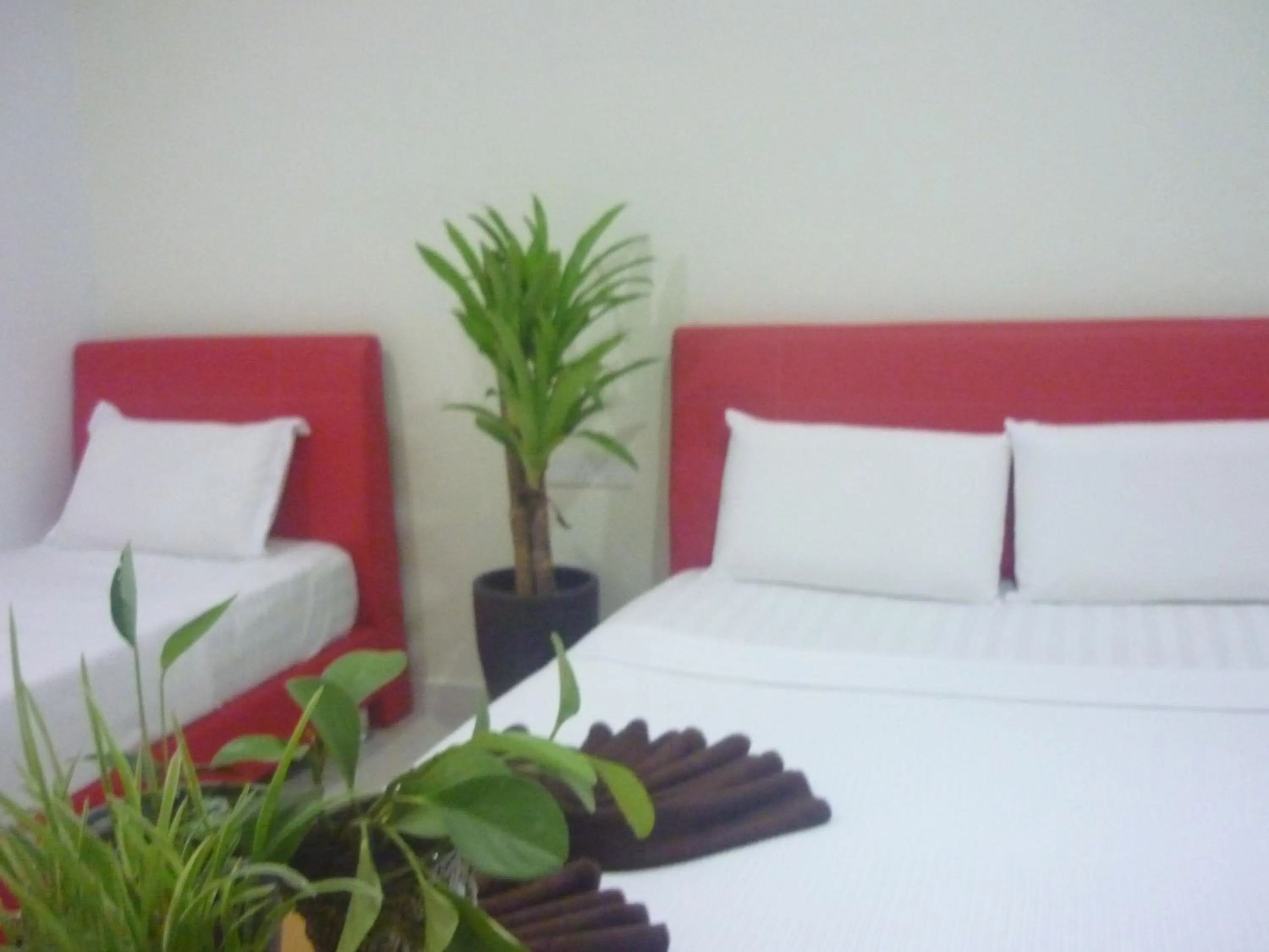 Bed in Hotel Paka INN