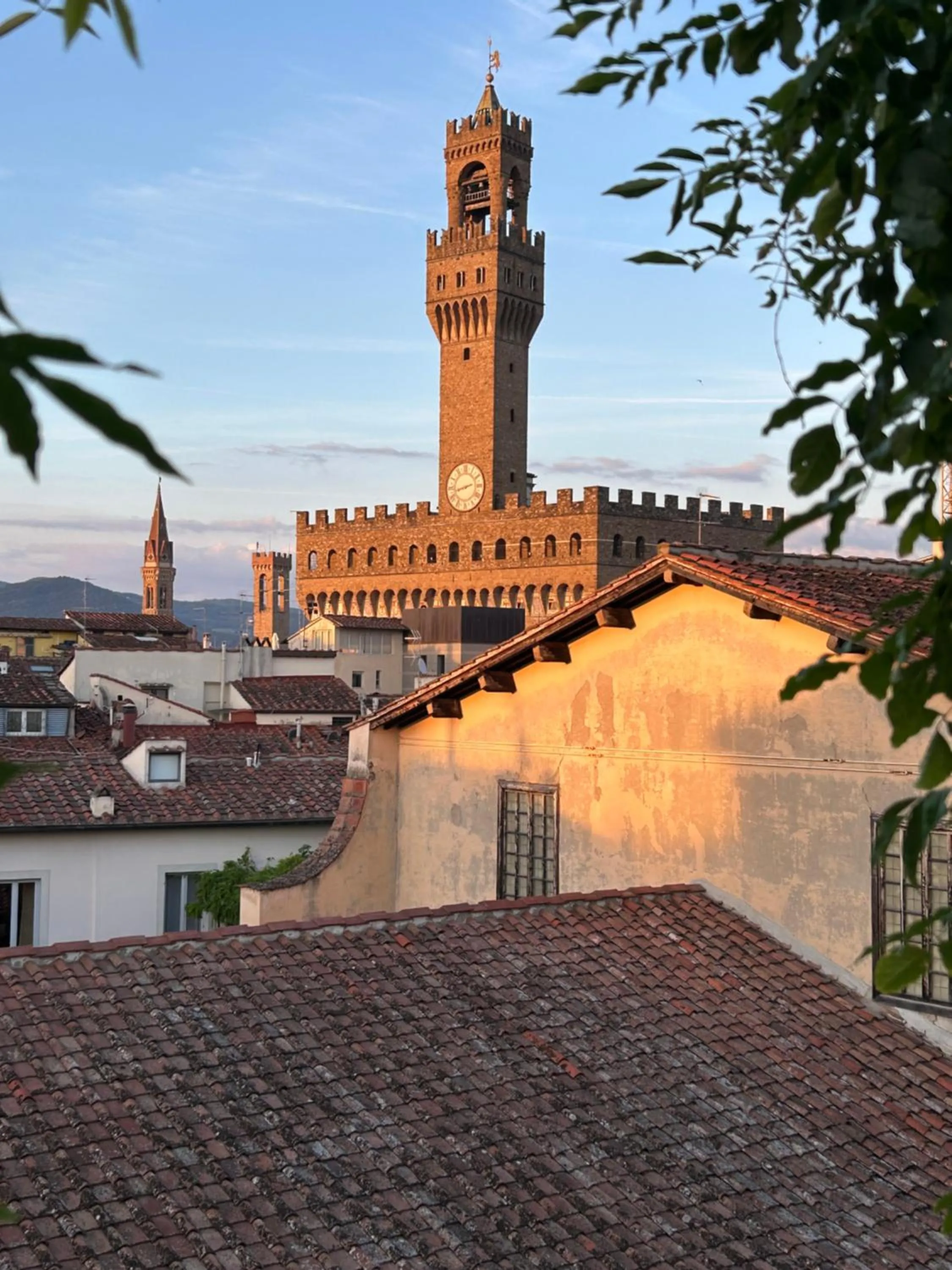 Restaurant/places to eat in Hotel Hermitage