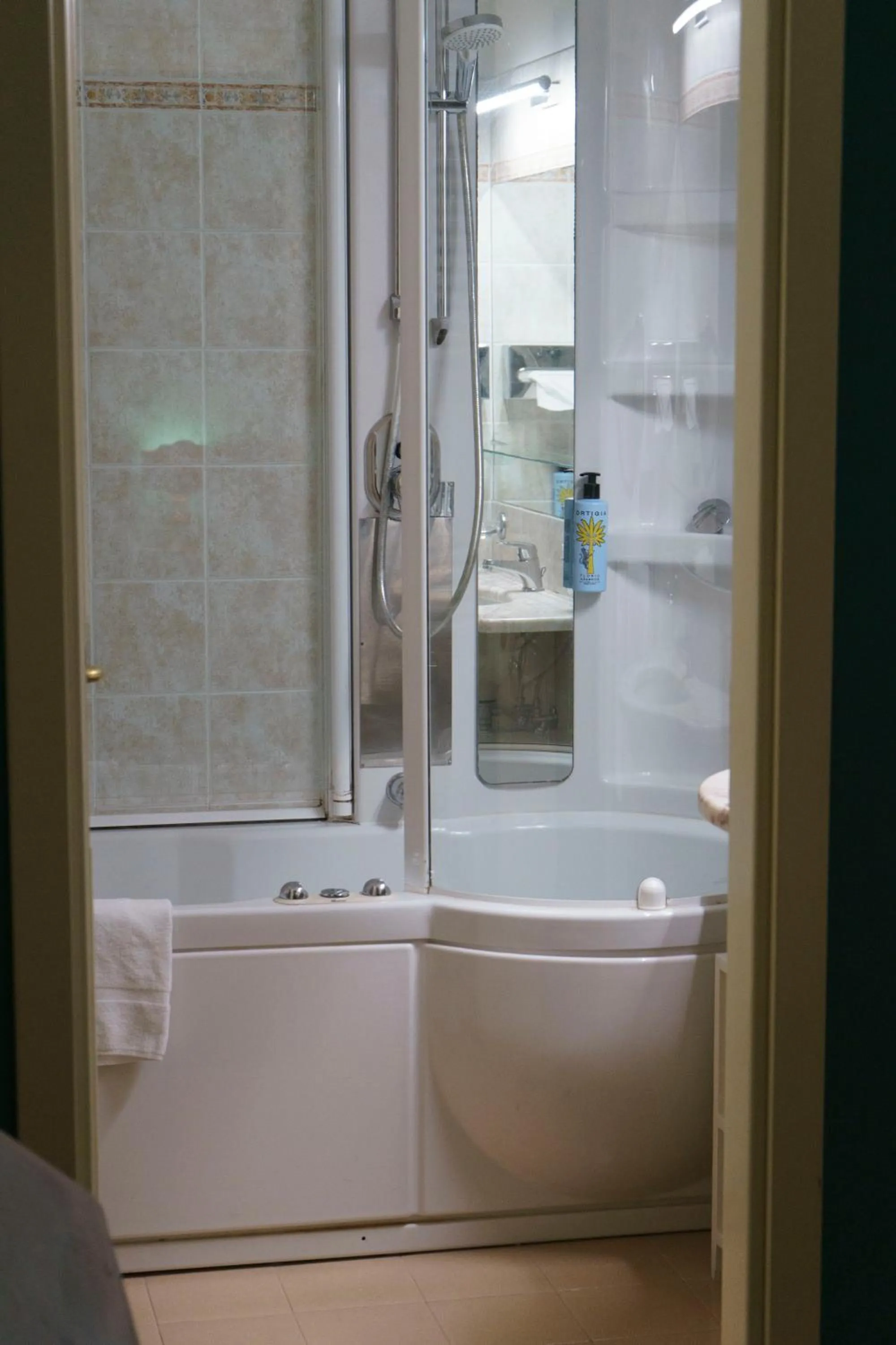 Shower in Hotel Hermitage