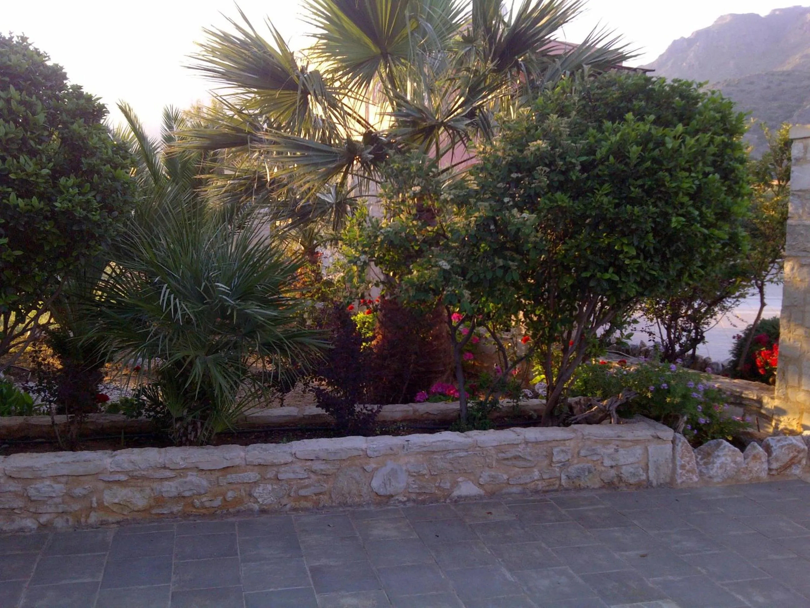 Garden in Kallicrates Village