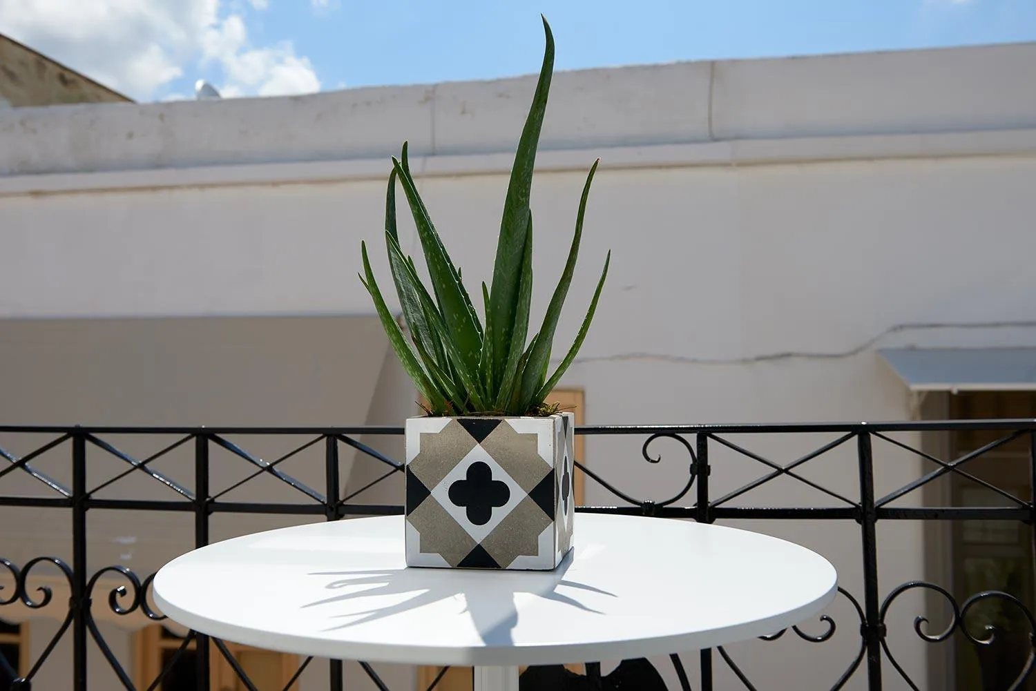 Balcony/Terrace in Argonauta Hotel