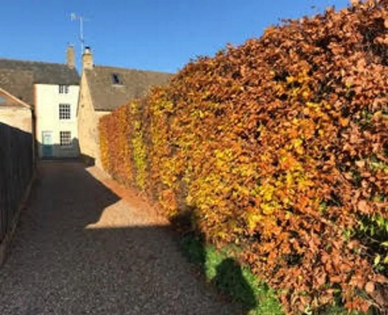 The Annexe