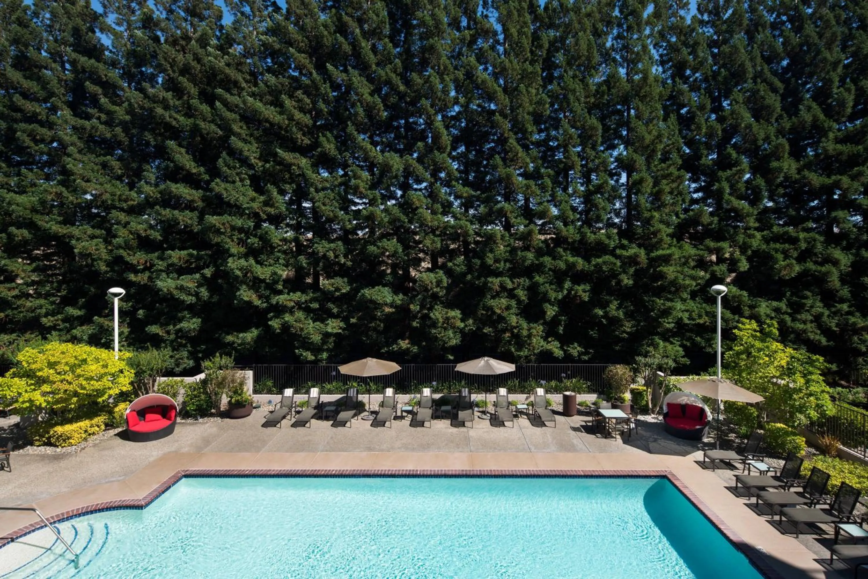 Swimming pool in San Ramon Marriott