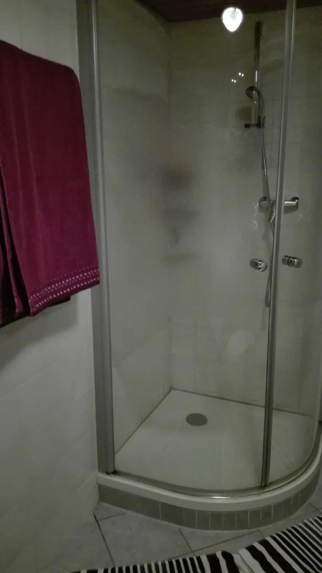Shower in Haus am Bach