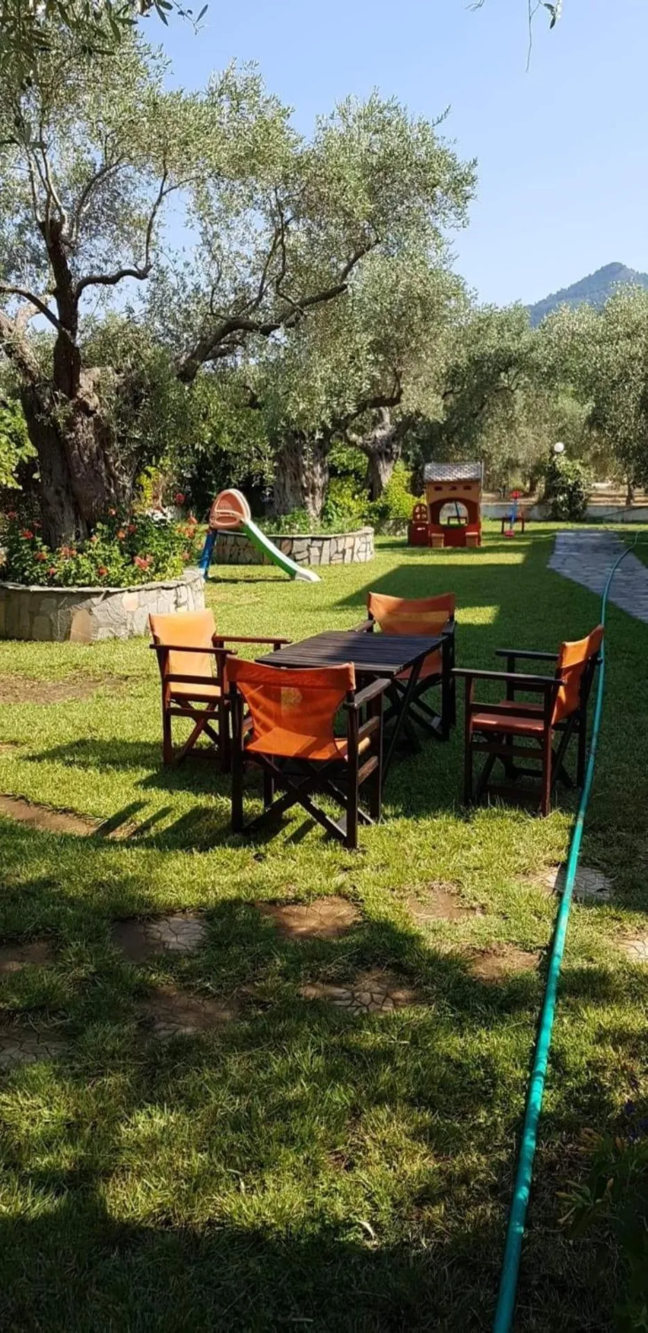 Garden in Hotel Maria