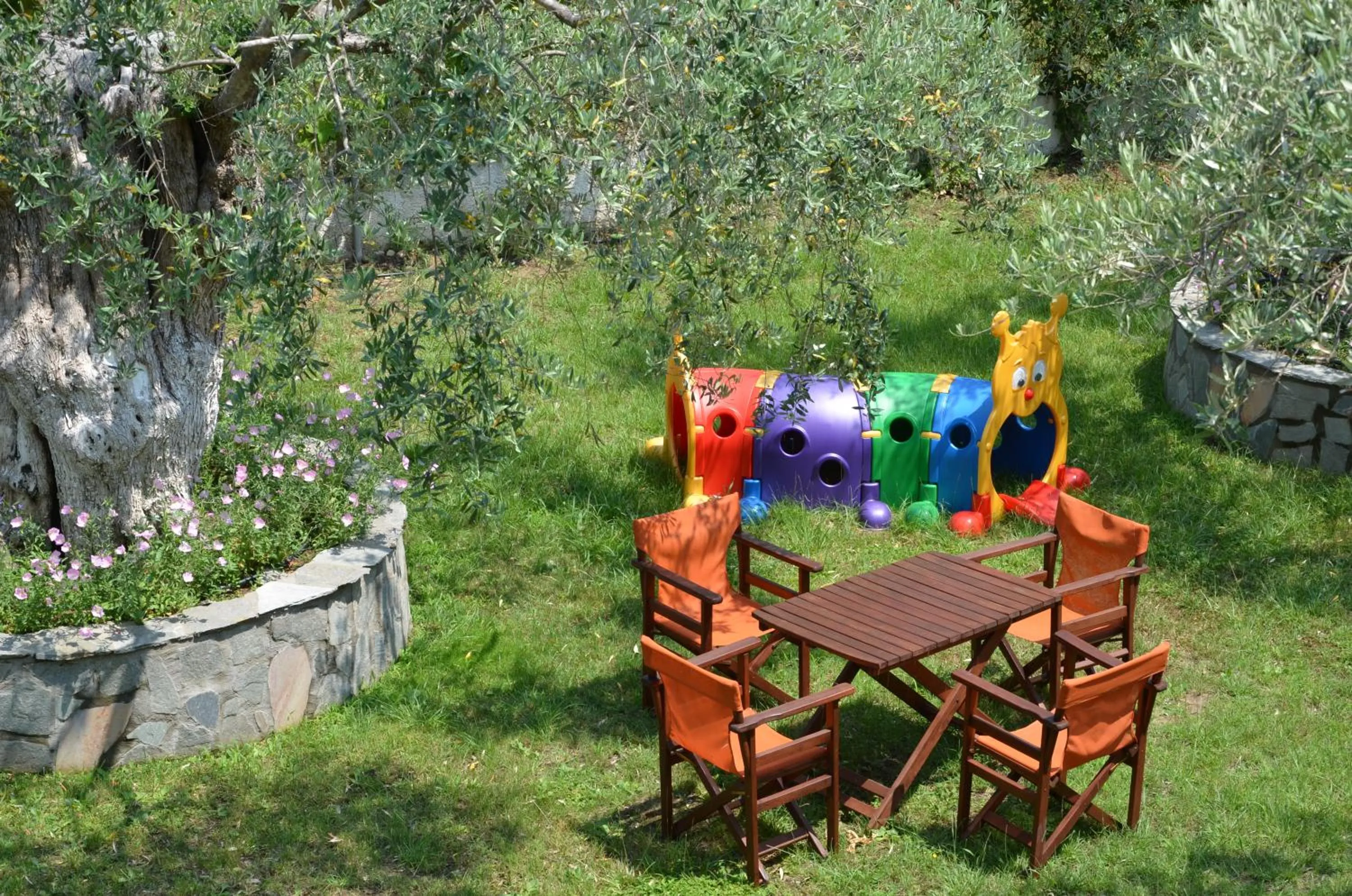 Garden in Hotel Maria