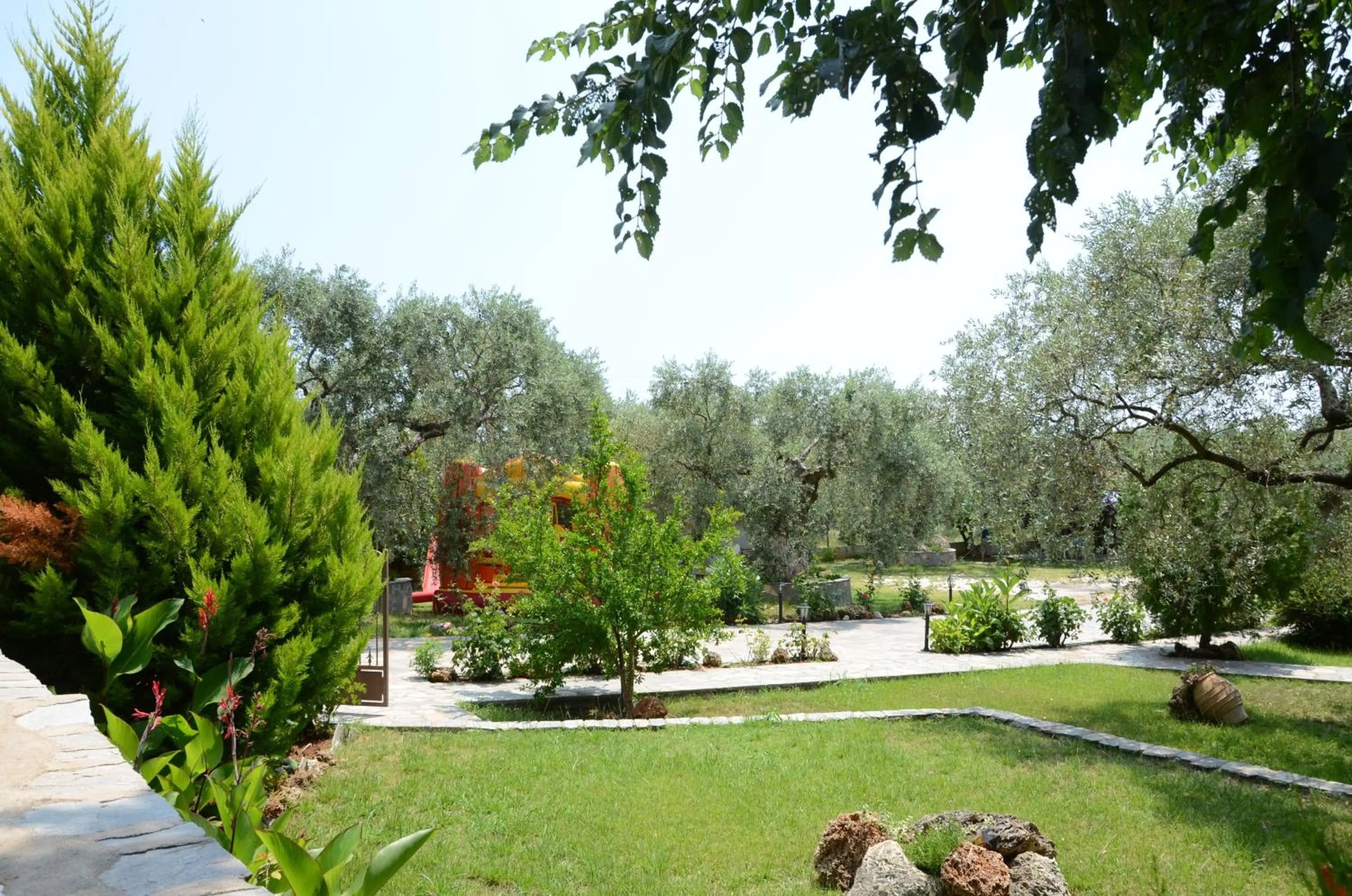 Garden in Hotel Maria