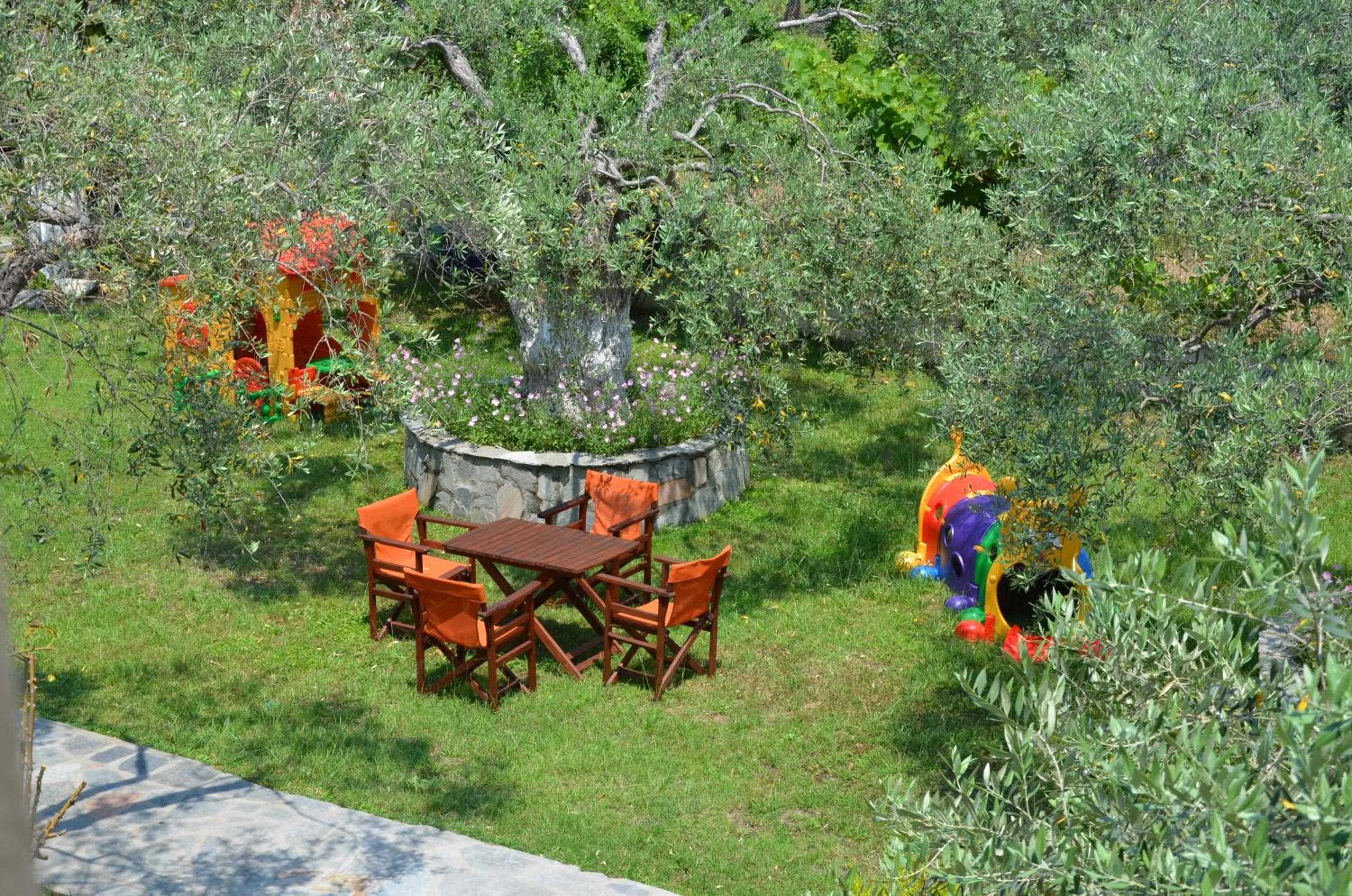 Garden in Hotel Maria