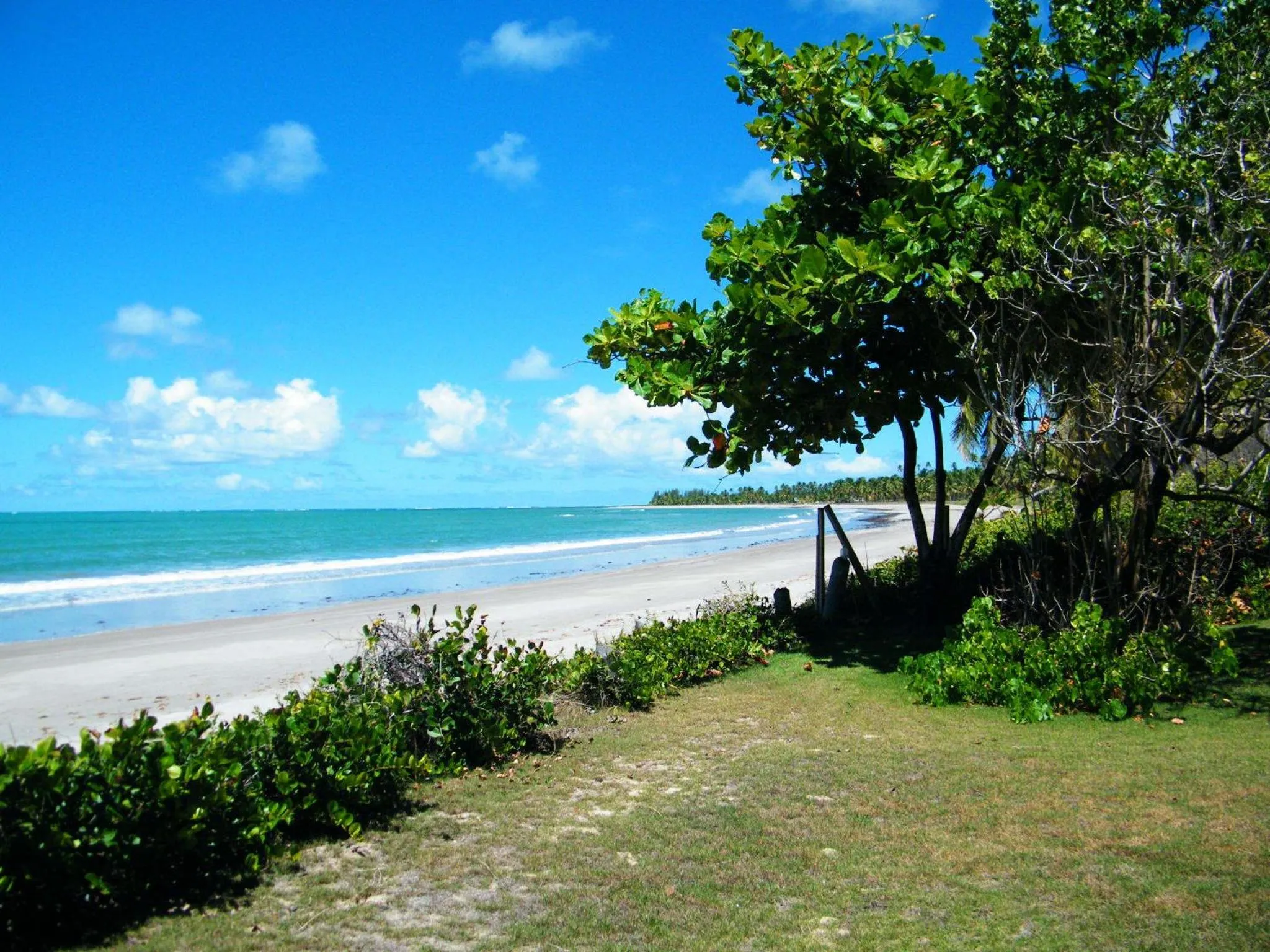 Day in Igarakuê Flat