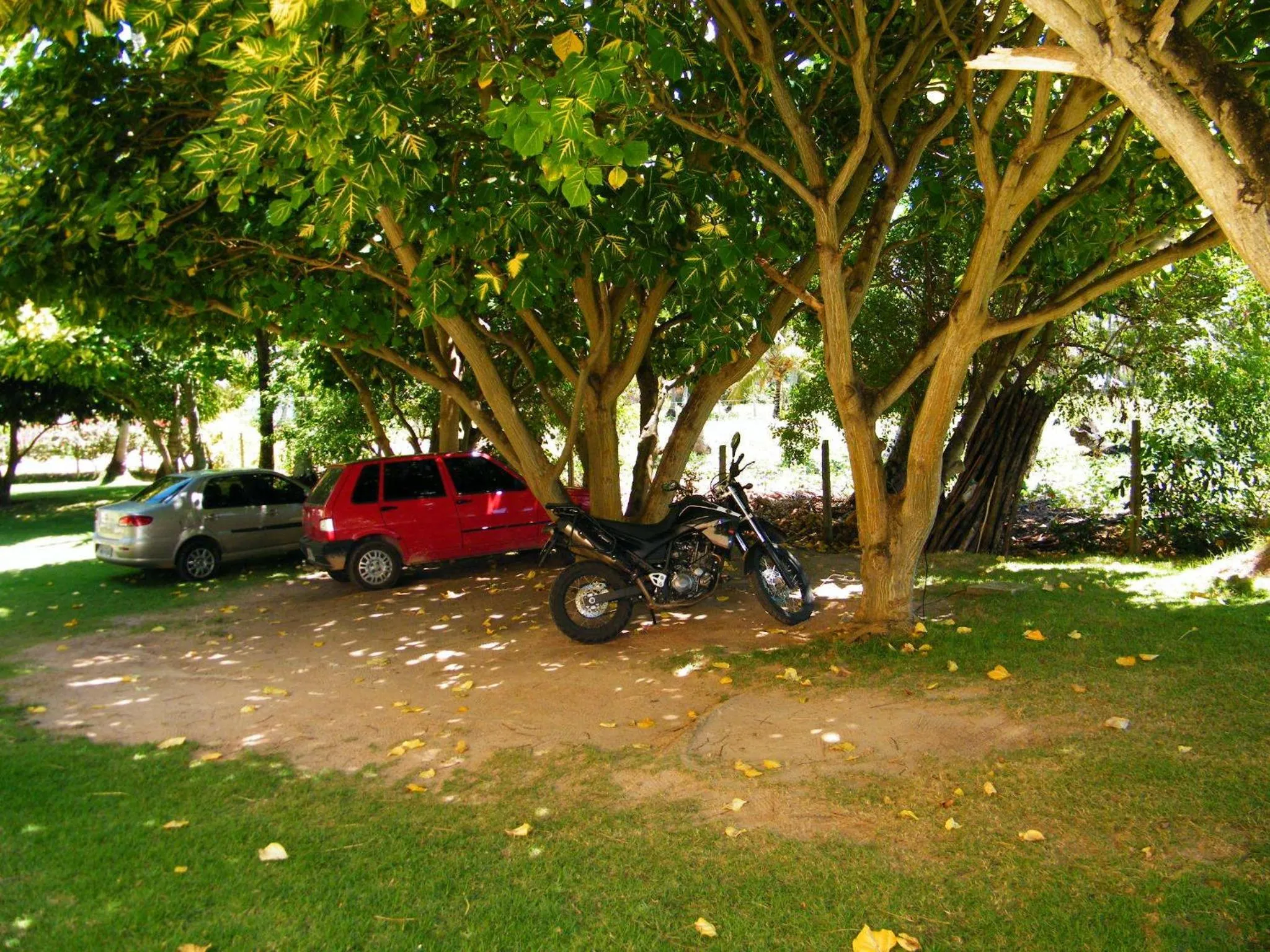 Day in Igarakuê Flat