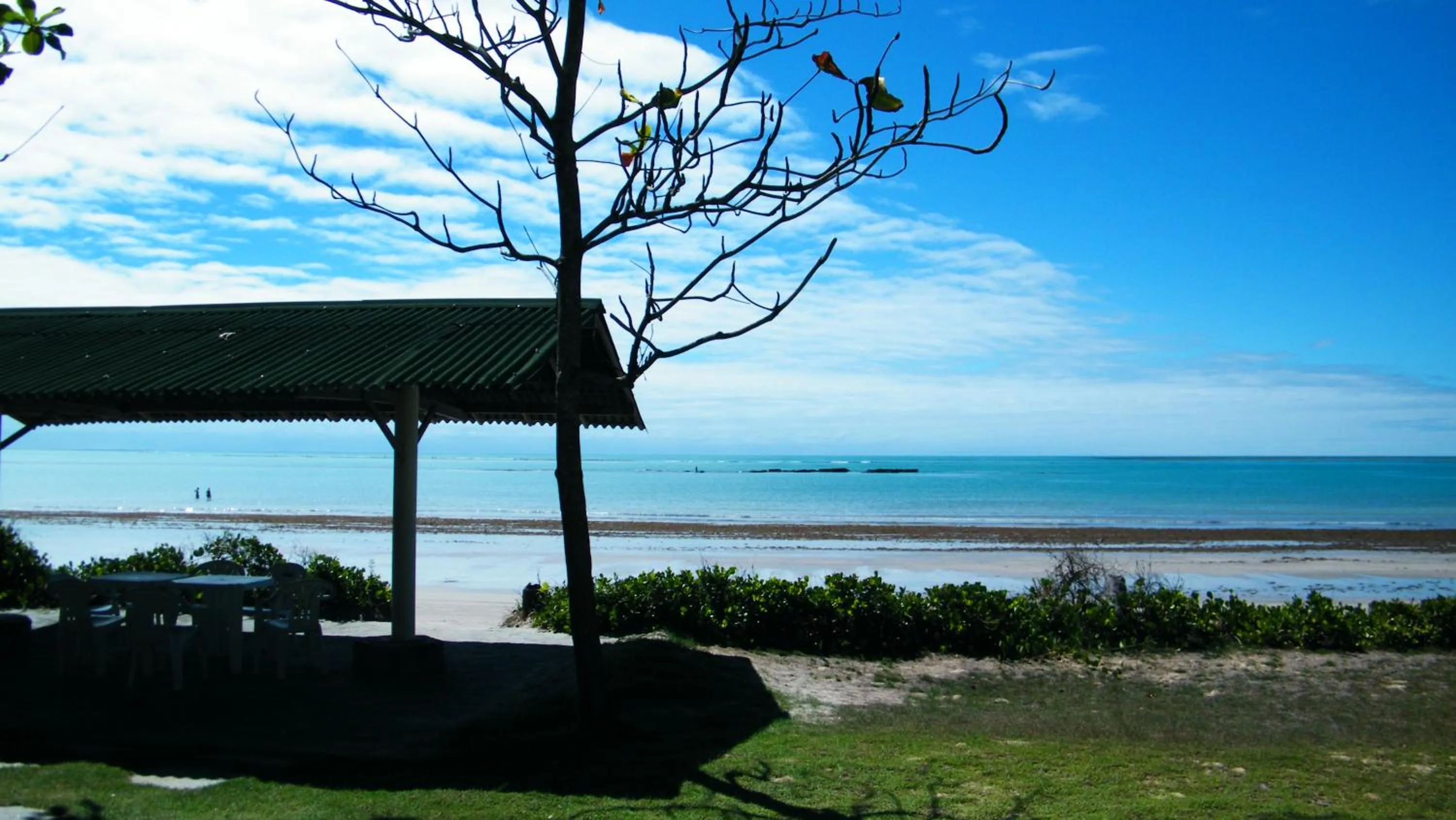 Spring in Igarakuê Flat