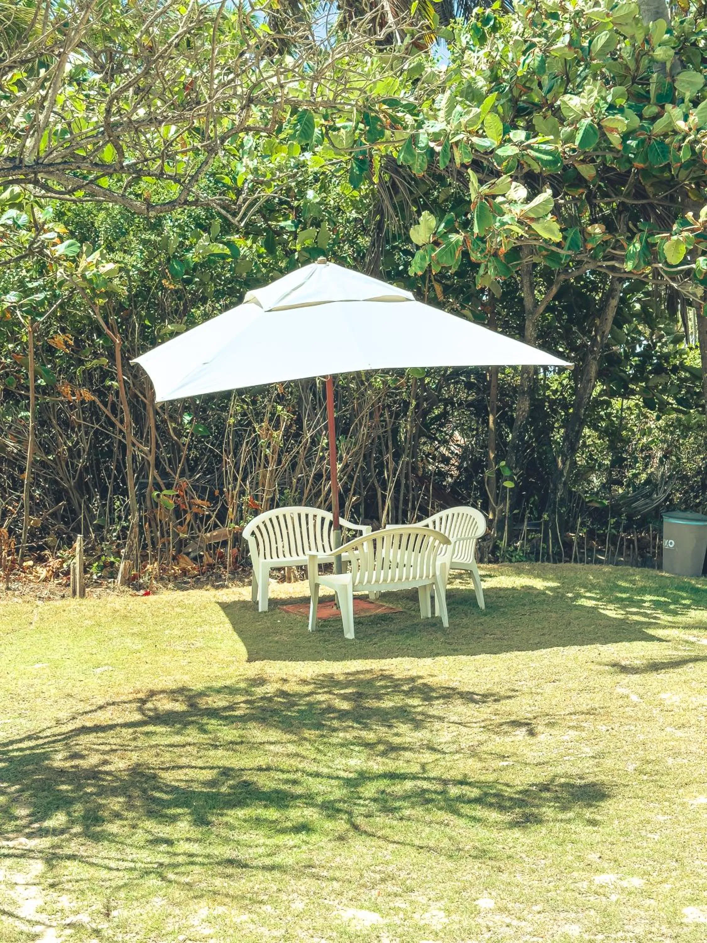 Spring in Igarakuê Flat