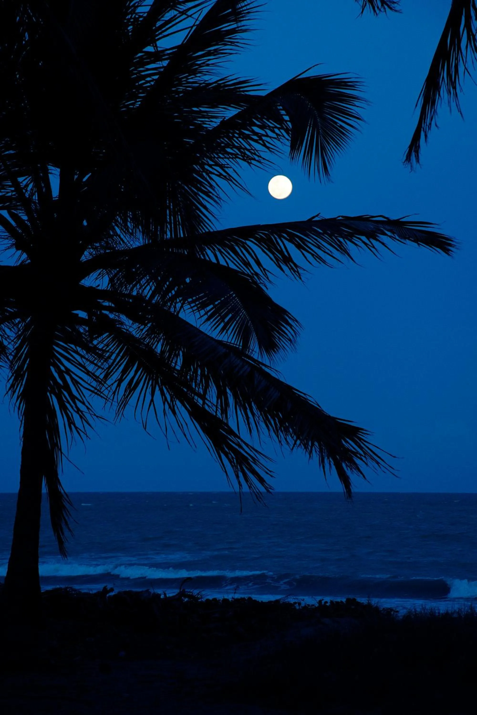 Night in Igarakuê Flat