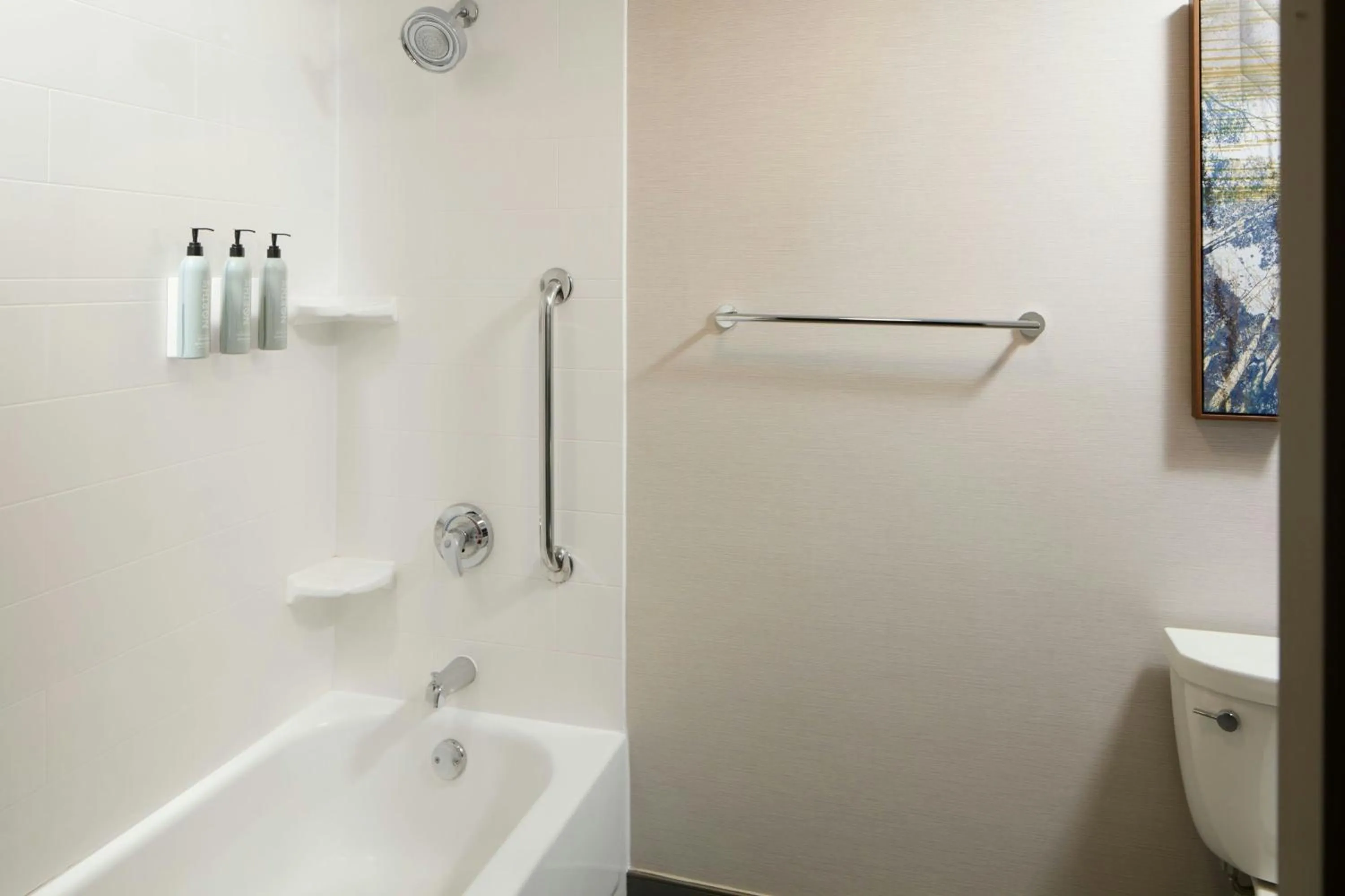 Bathroom in Courtyard Williamsburg - Busch Gardens