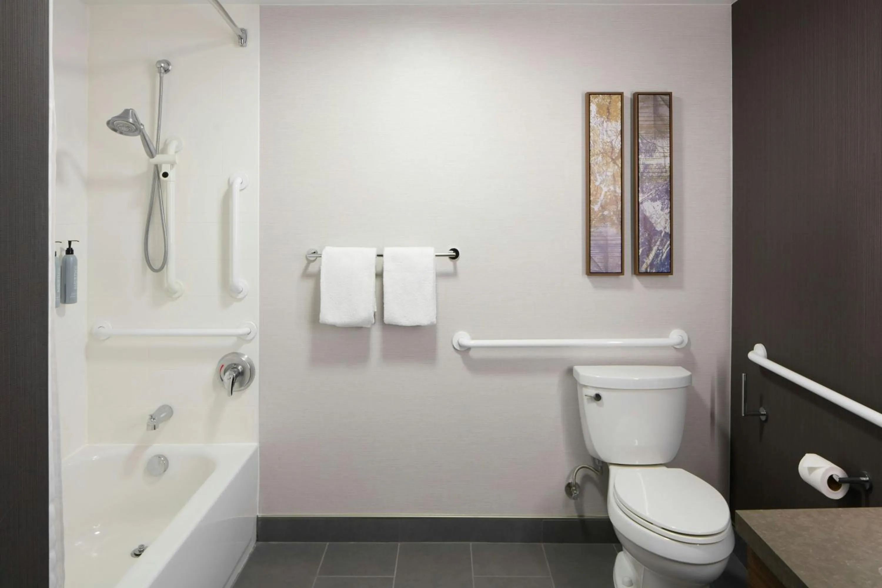 Bathroom in Courtyard Williamsburg - Busch Gardens