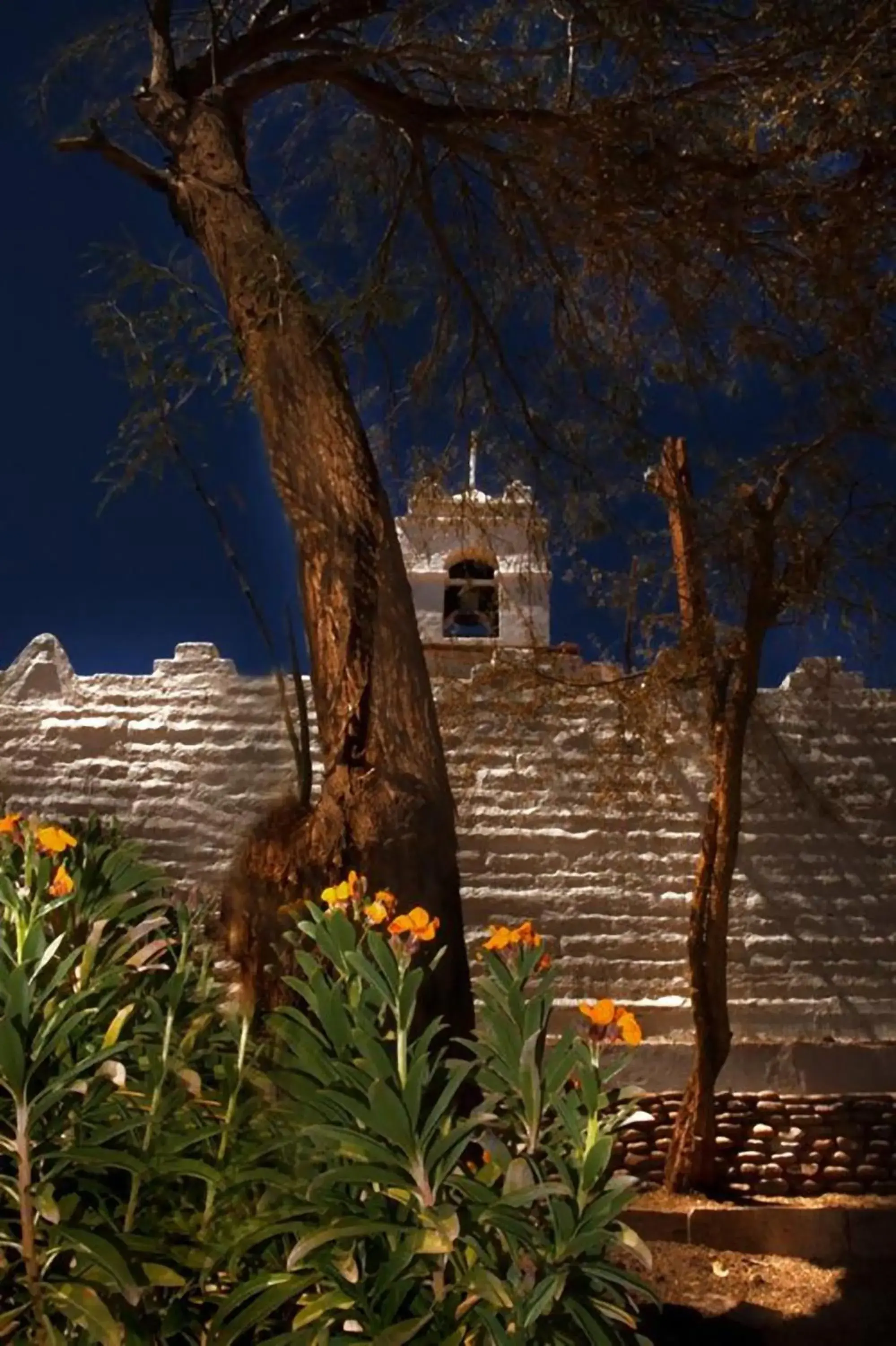 Garden view in Terrantai Lodge Garden view in Terrantai Lodge