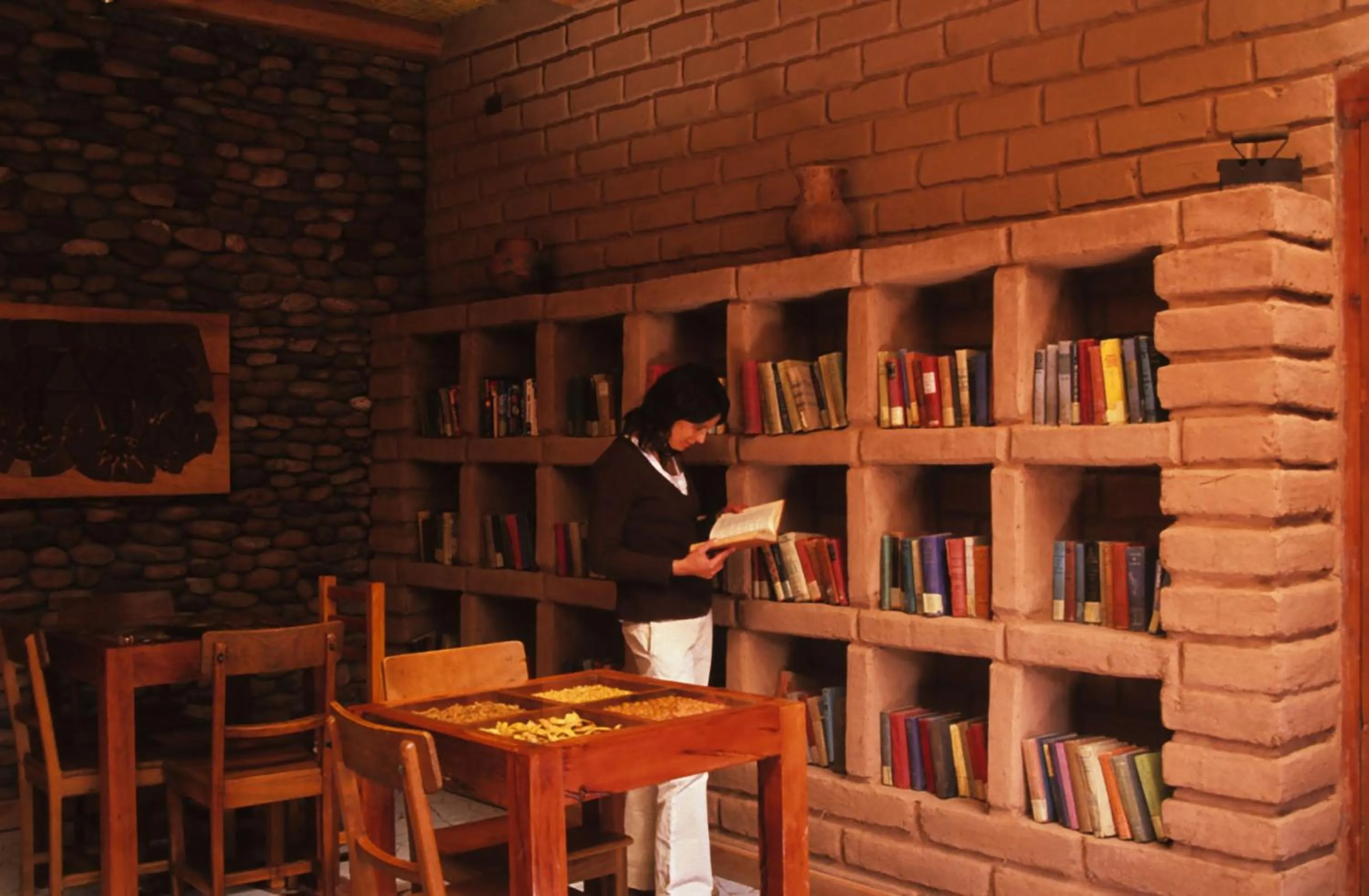 Library in Terrantai Lodge